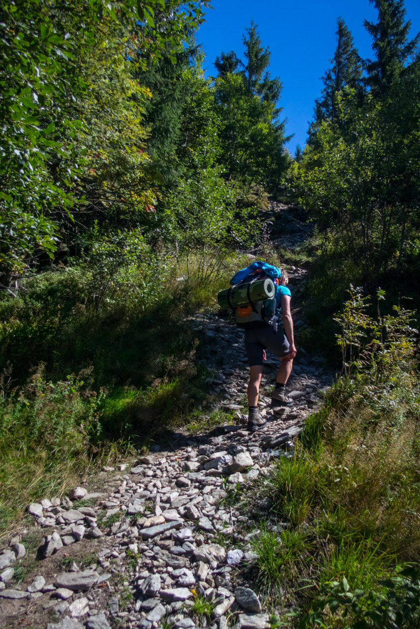 Z Heľpy cez Veľkú Vápenicu na útulňu Andrejcová (Nízke Tatry)