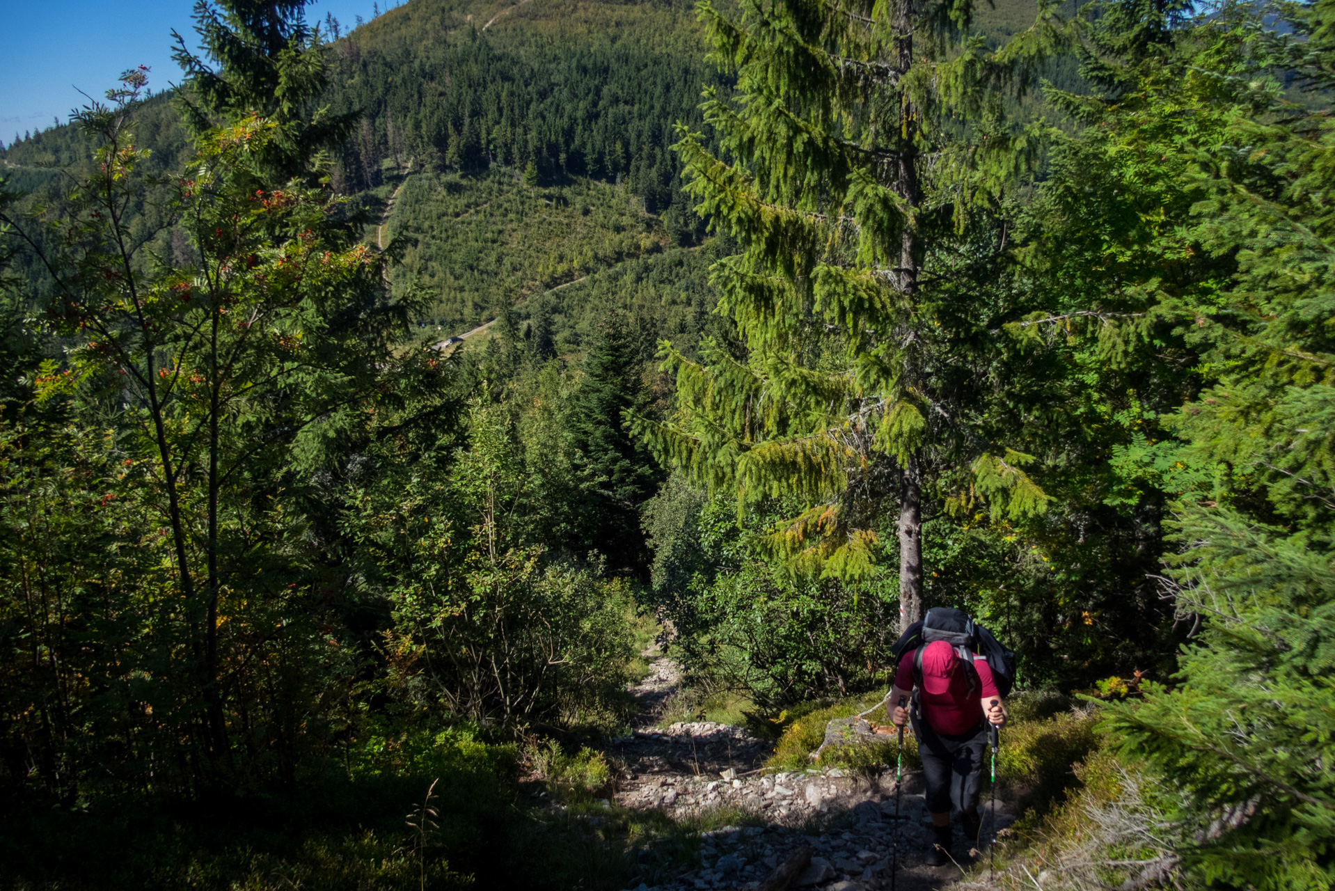 Z Heľpy cez Veľkú Vápenicu na útulňu Andrejcová (Nízke Tatry)