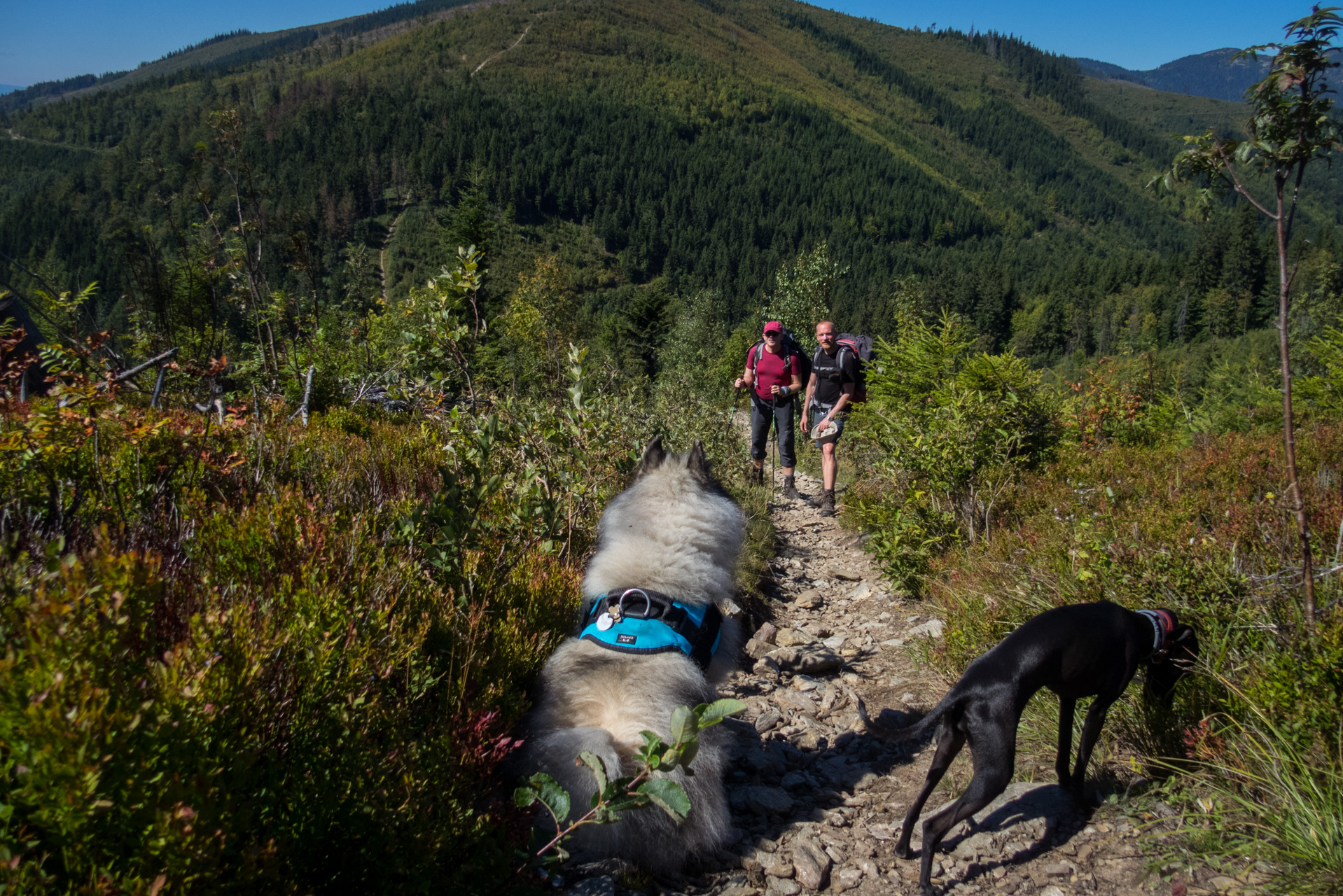 Z Heľpy cez Veľkú Vápenicu na útulňu Andrejcová (Nízke Tatry)