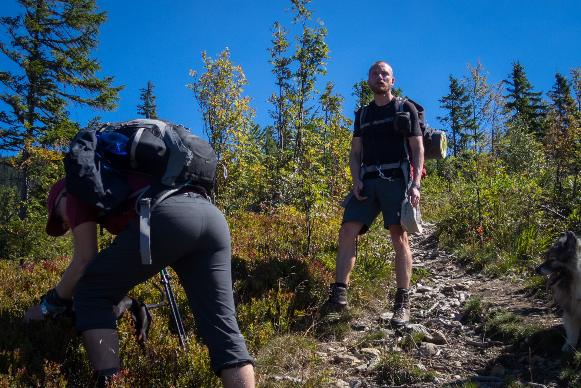 Z Heľpy cez Veľkú Vápenicu na útulňu Andrejcová (Nízke Tatry)