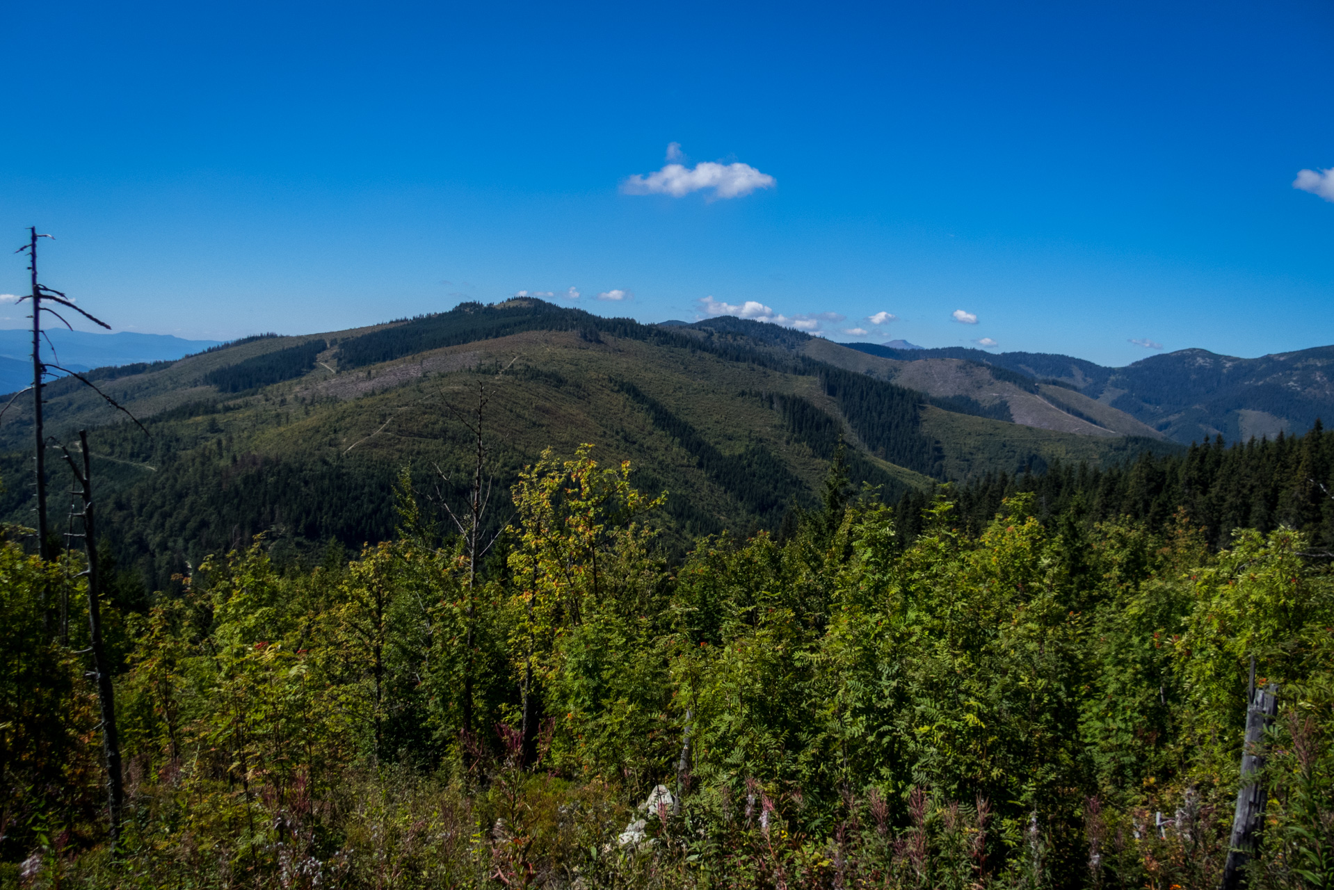 Z Heľpy cez Veľkú Vápenicu na útulňu Andrejcová (Nízke Tatry)