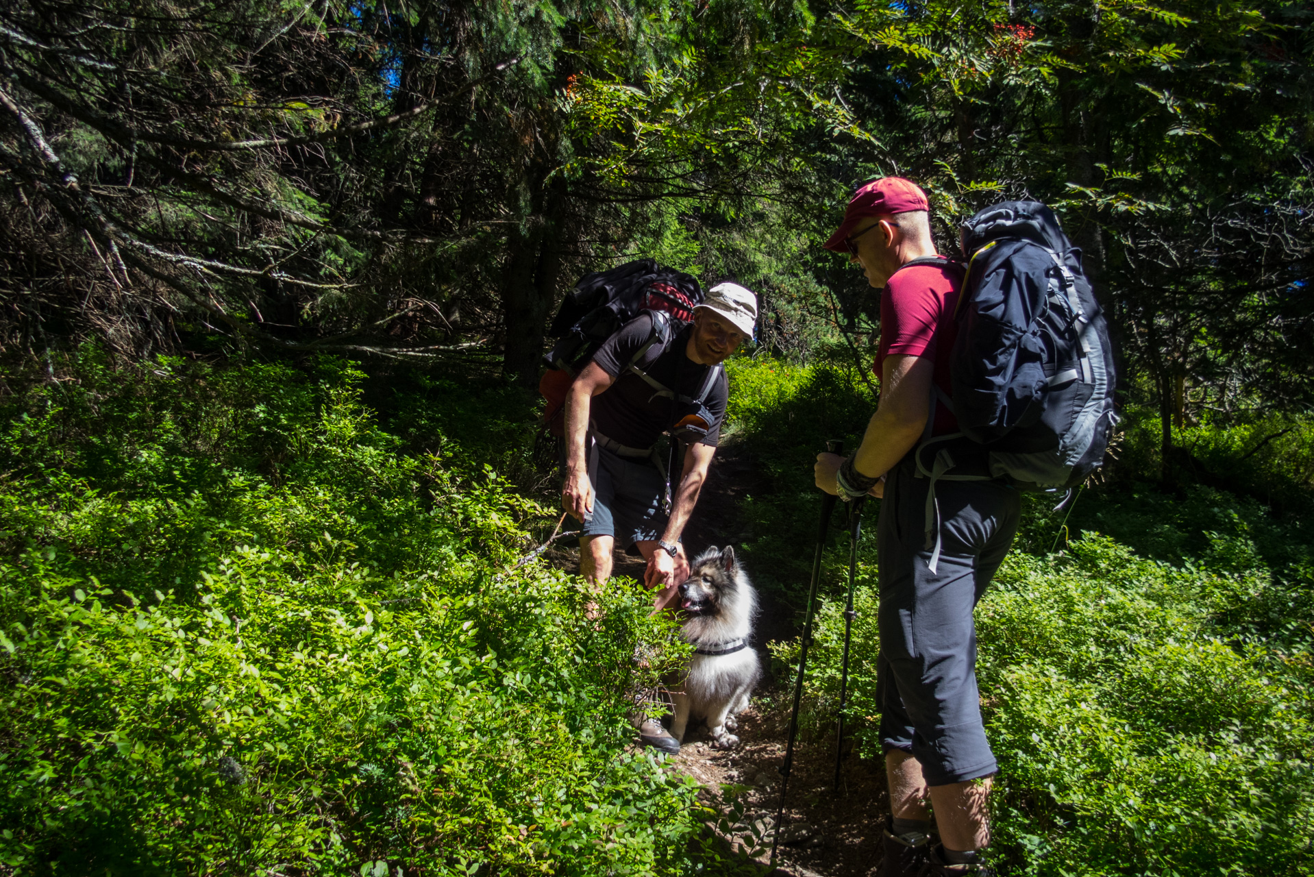 Z Heľpy cez Veľkú Vápenicu na útulňu Andrejcová (Nízke Tatry)