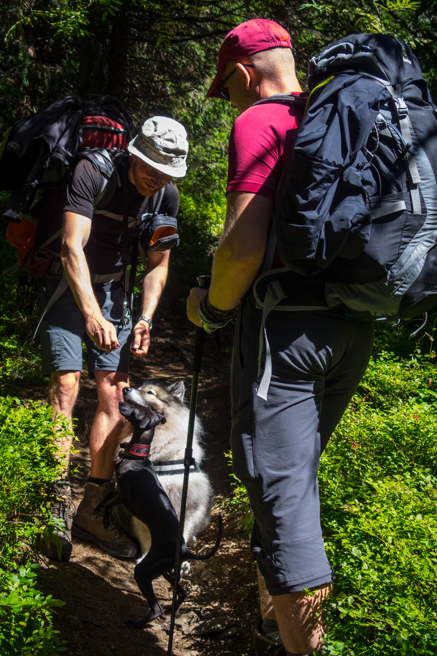 Z Heľpy cez Veľkú Vápenicu na útulňu Andrejcová (Nízke Tatry)