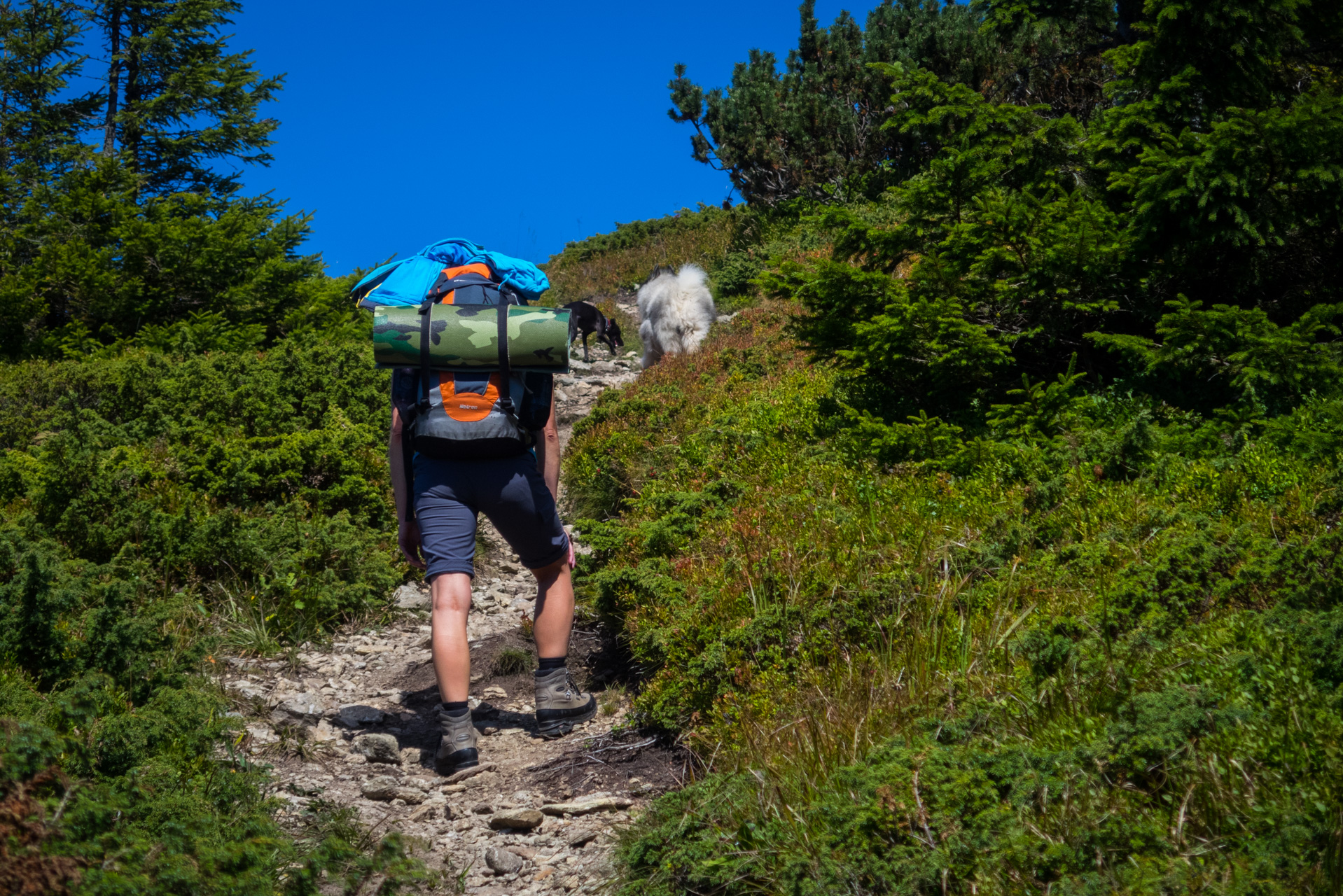 Z Heľpy cez Veľkú Vápenicu na útulňu Andrejcová (Nízke Tatry)