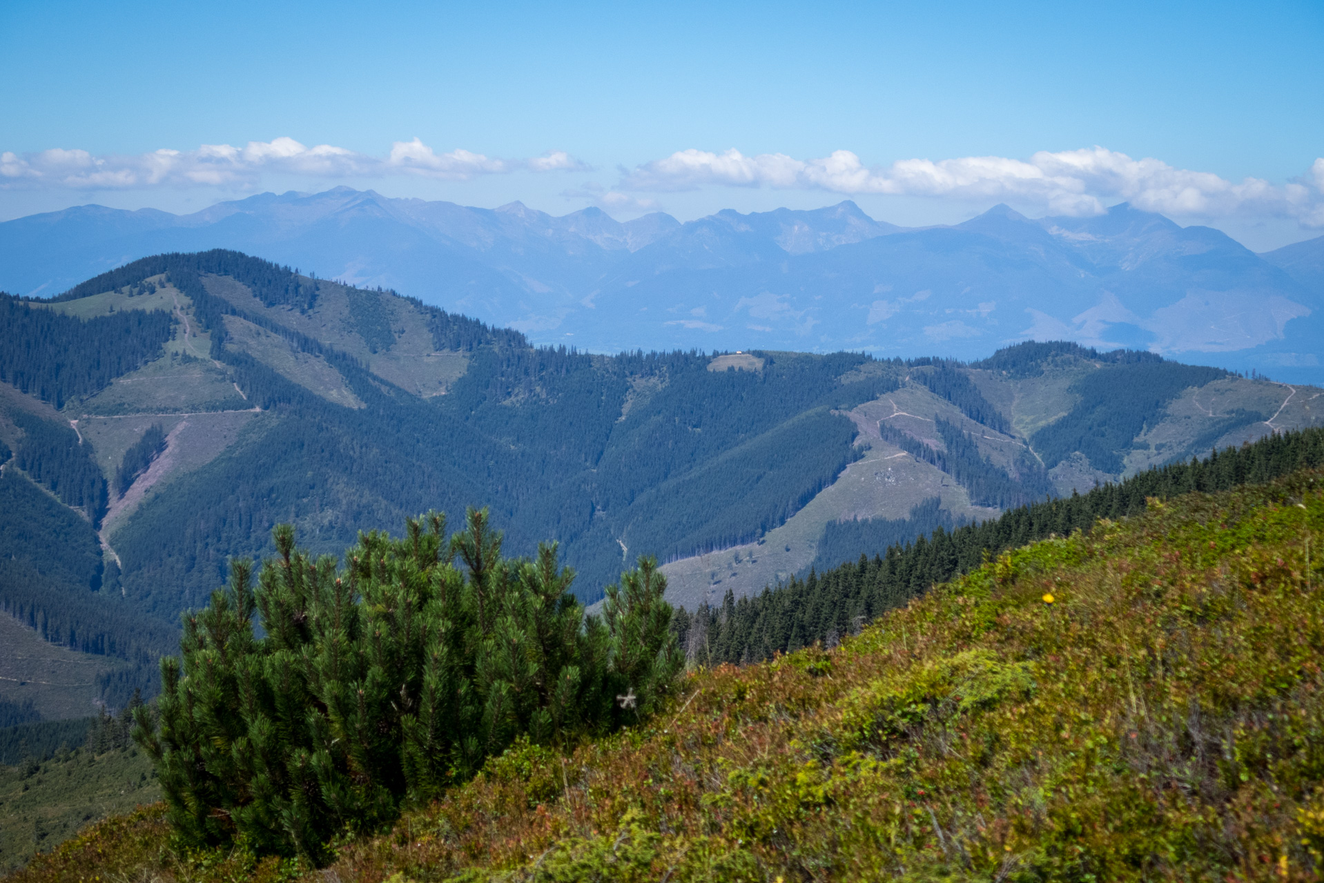 Z Heľpy cez Veľkú Vápenicu na útulňu Andrejcová (Nízke Tatry)