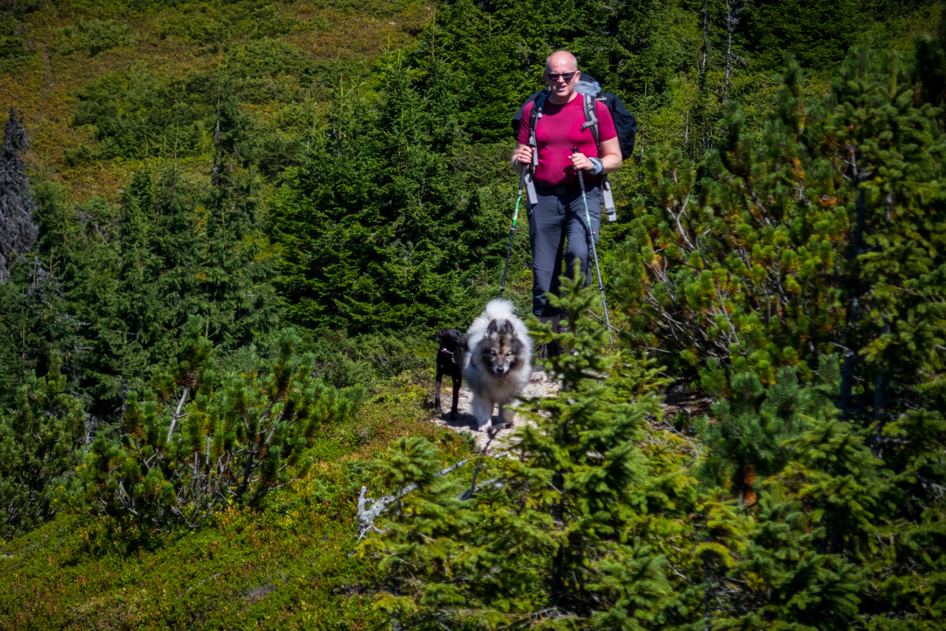 Z Heľpy cez Veľkú Vápenicu na útulňu Andrejcová (Nízke Tatry)