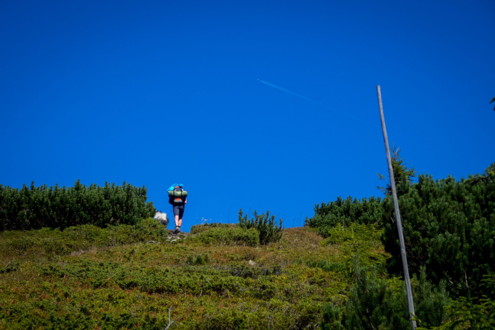 Z Heľpy cez Veľkú Vápenicu na útulňu Andrejcová (Nízke Tatry)