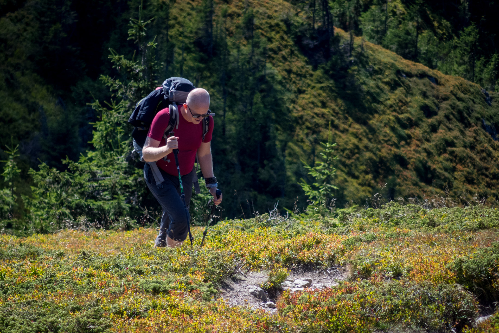 Z Heľpy cez Veľkú Vápenicu na útulňu Andrejcová (Nízke Tatry)