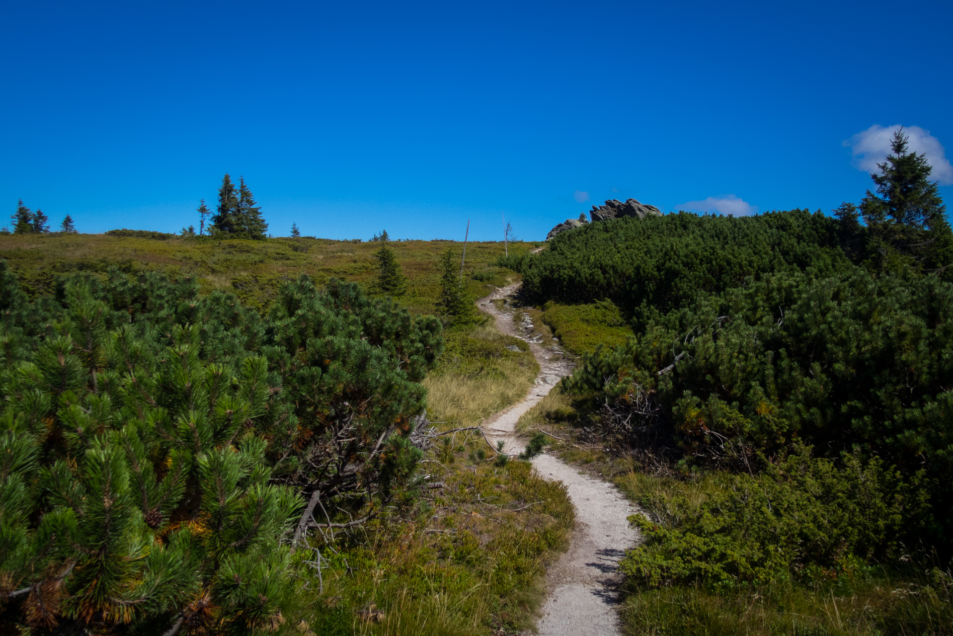 Z Heľpy cez Veľkú Vápenicu na útulňu Andrejcová (Nízke Tatry)