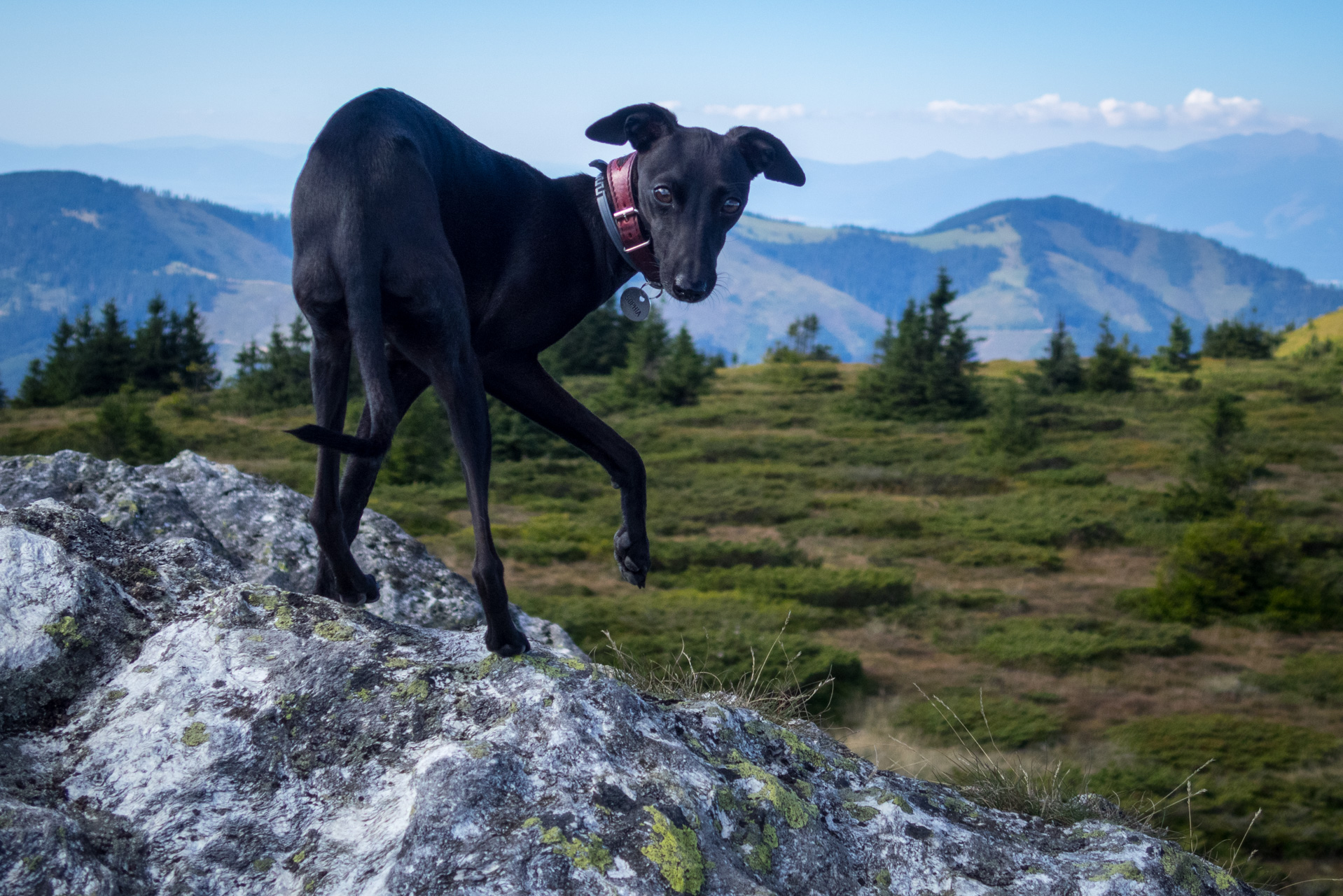 Z Heľpy cez Veľkú Vápenicu na útulňu Andrejcová (Nízke Tatry)