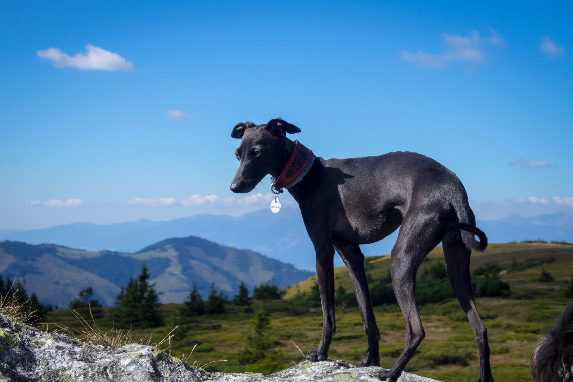 Z Heľpy cez Veľkú Vápenicu na útulňu Andrejcová (Nízke Tatry)