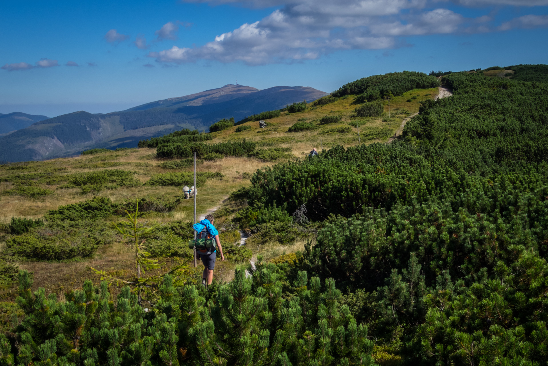 Z Heľpy cez Veľkú Vápenicu na útulňu Andrejcová (Nízke Tatry)