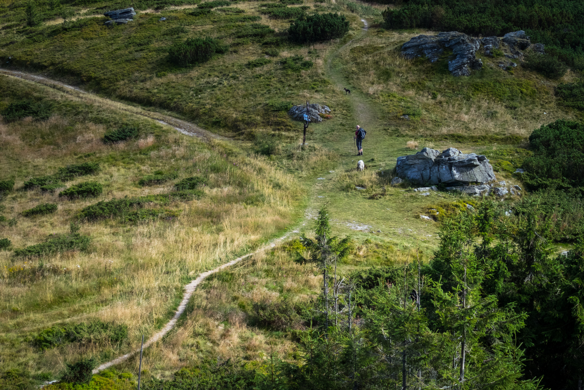 Z Heľpy cez Veľkú Vápenicu na útulňu Andrejcová (Nízke Tatry)