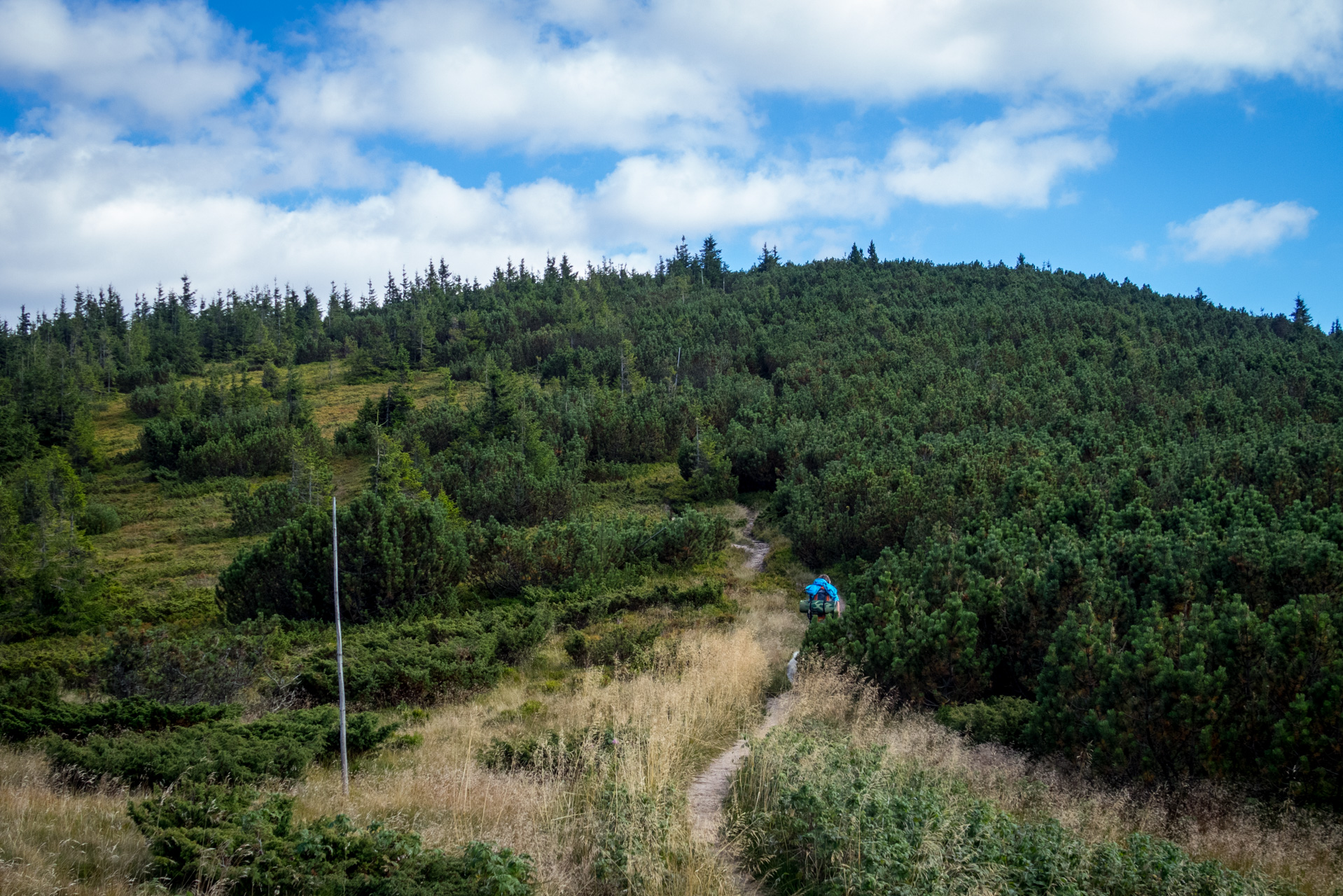 Z Heľpy cez Veľkú Vápenicu na útulňu Andrejcová (Nízke Tatry)