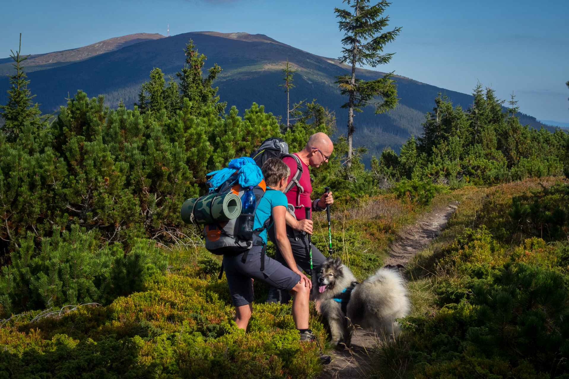 Z Heľpy cez Veľkú Vápenicu na útulňu Andrejcová (Nízke Tatry)