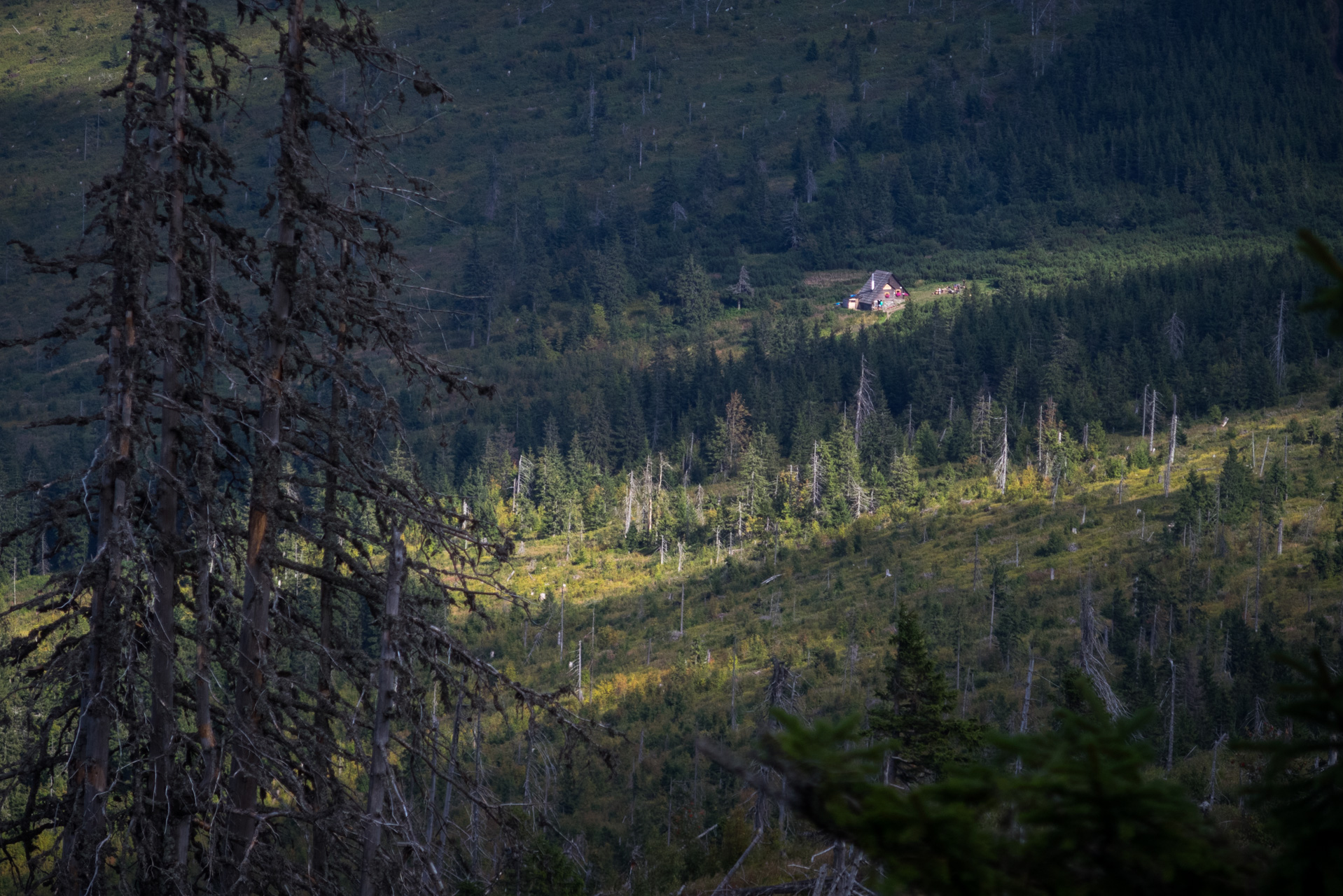 Z Heľpy cez Veľkú Vápenicu na útulňu Andrejcová (Nízke Tatry)