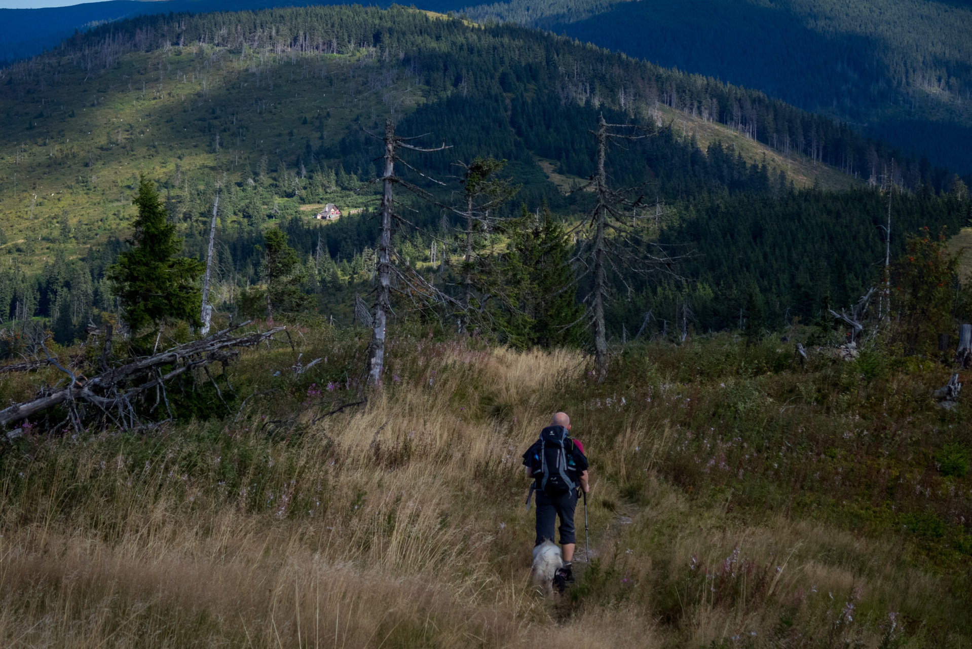 Z Heľpy cez Veľkú Vápenicu na útulňu Andrejcová (Nízke Tatry)