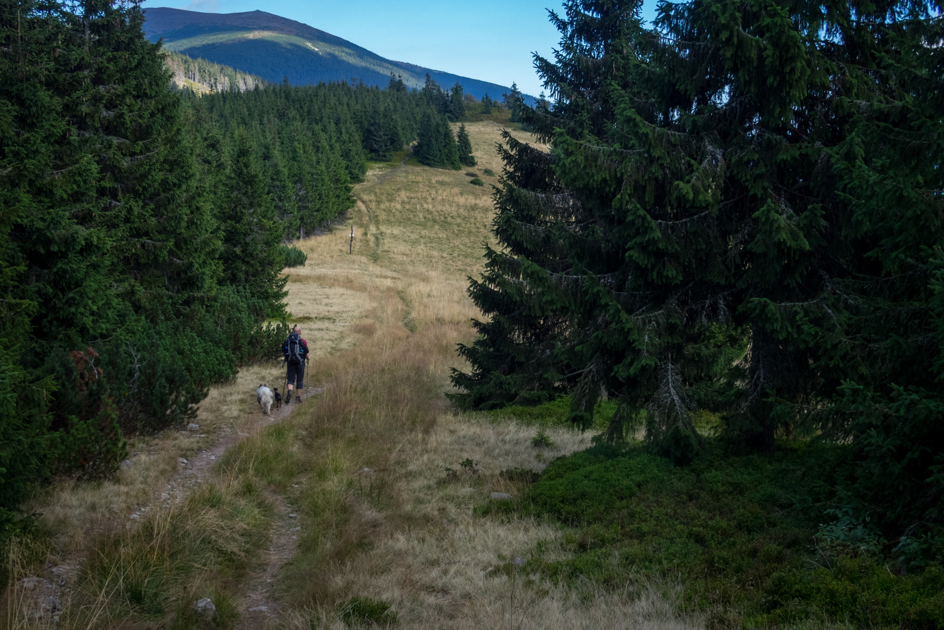 Z Heľpy cez Veľkú Vápenicu na útulňu Andrejcová (Nízke Tatry)