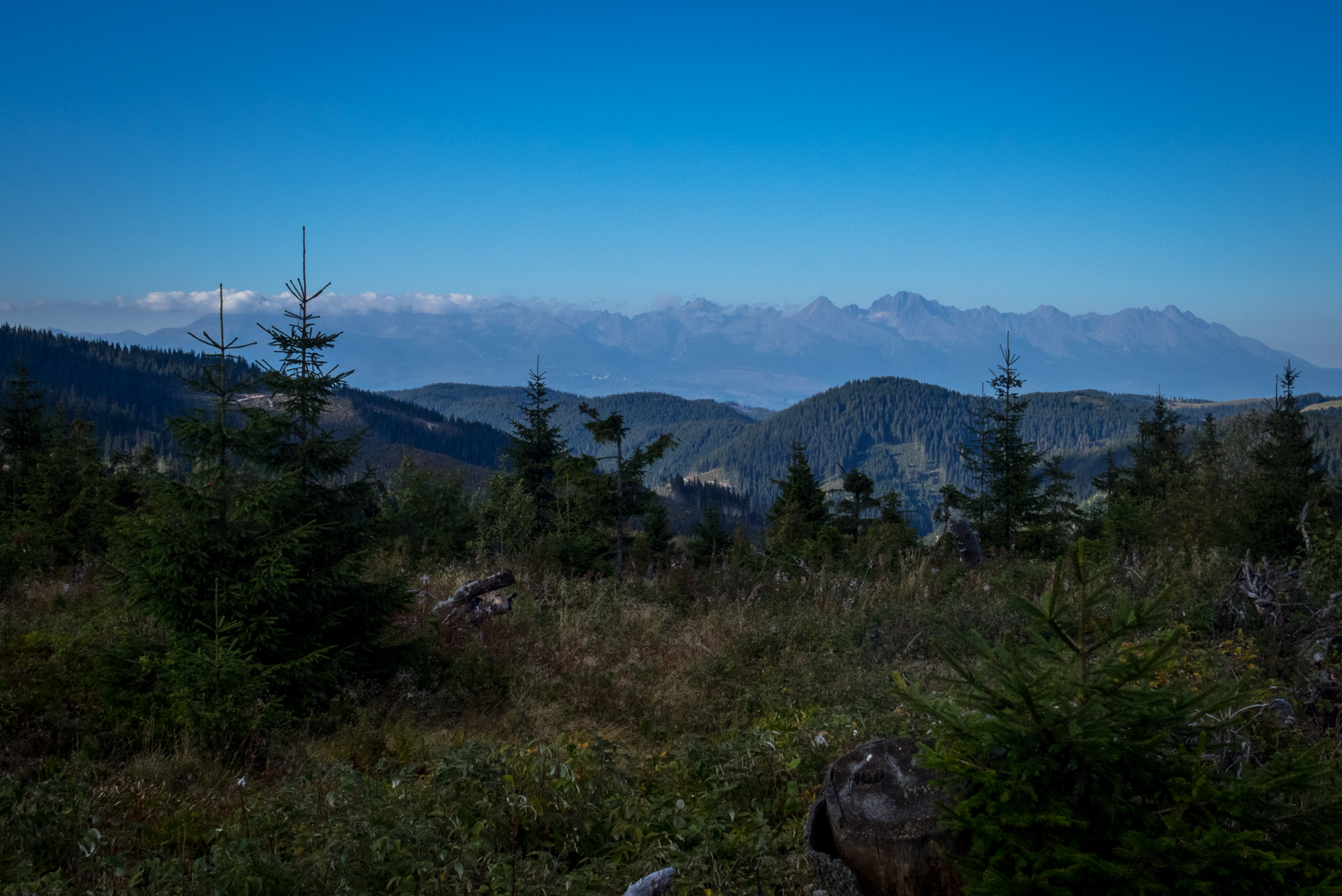 Z Heľpy cez Veľkú Vápenicu na útulňu Andrejcová (Nízke Tatry)