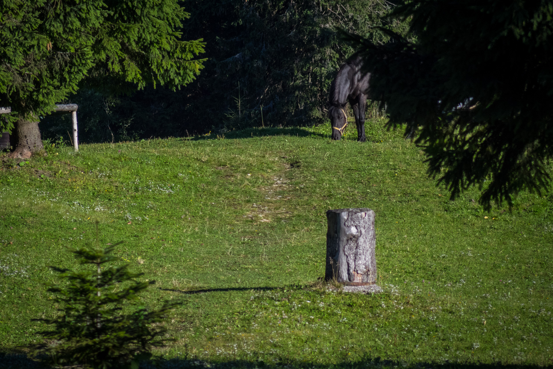 Z vojenskej zotavovne Smrekovica cez Nižné Šiprúnske sedlo do Bieleho potoka (Veľká Fatra)