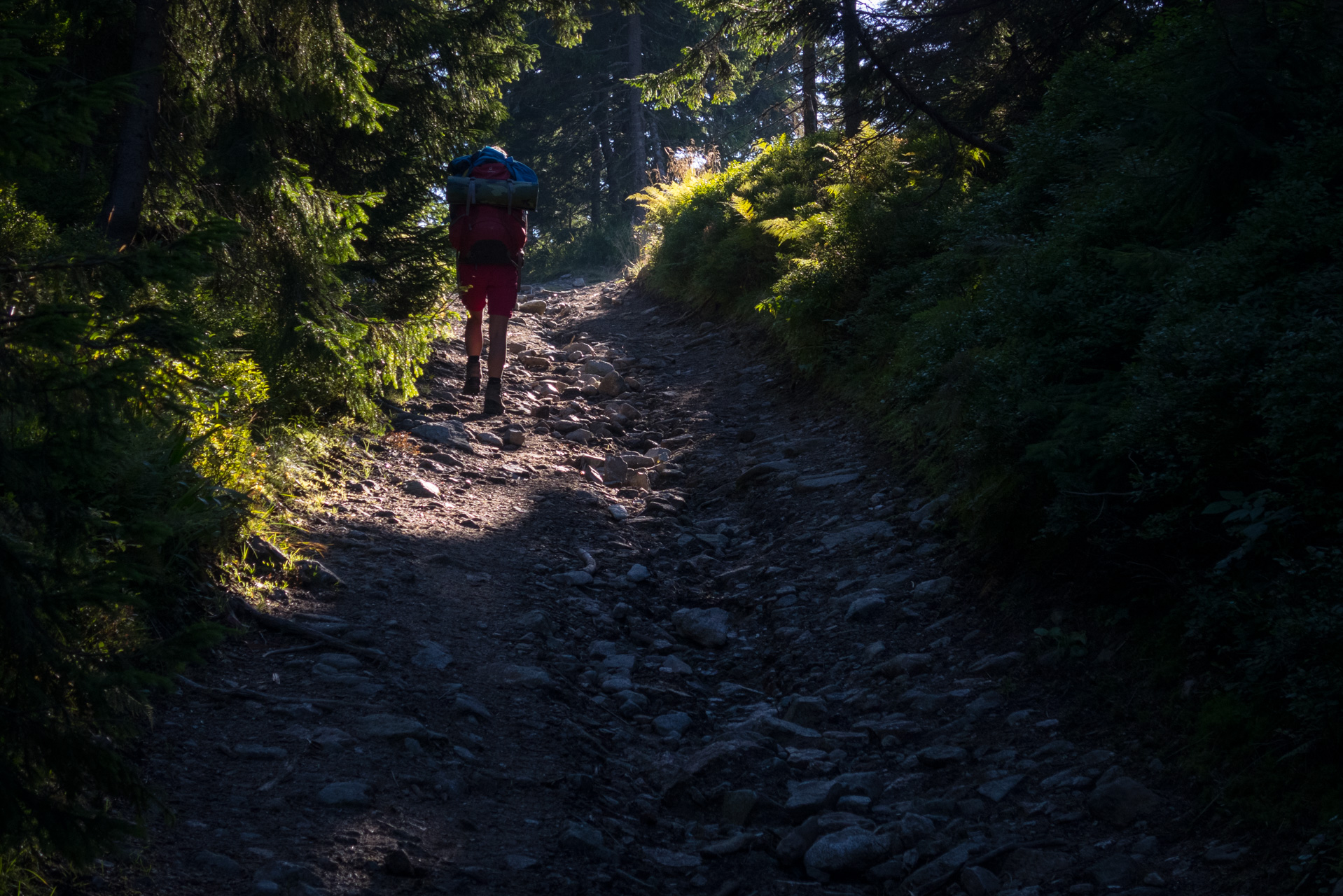 Z vojenskej zotavovne Smrekovica cez Nižné Šiprúnske sedlo do Bieleho potoka (Veľká Fatra)