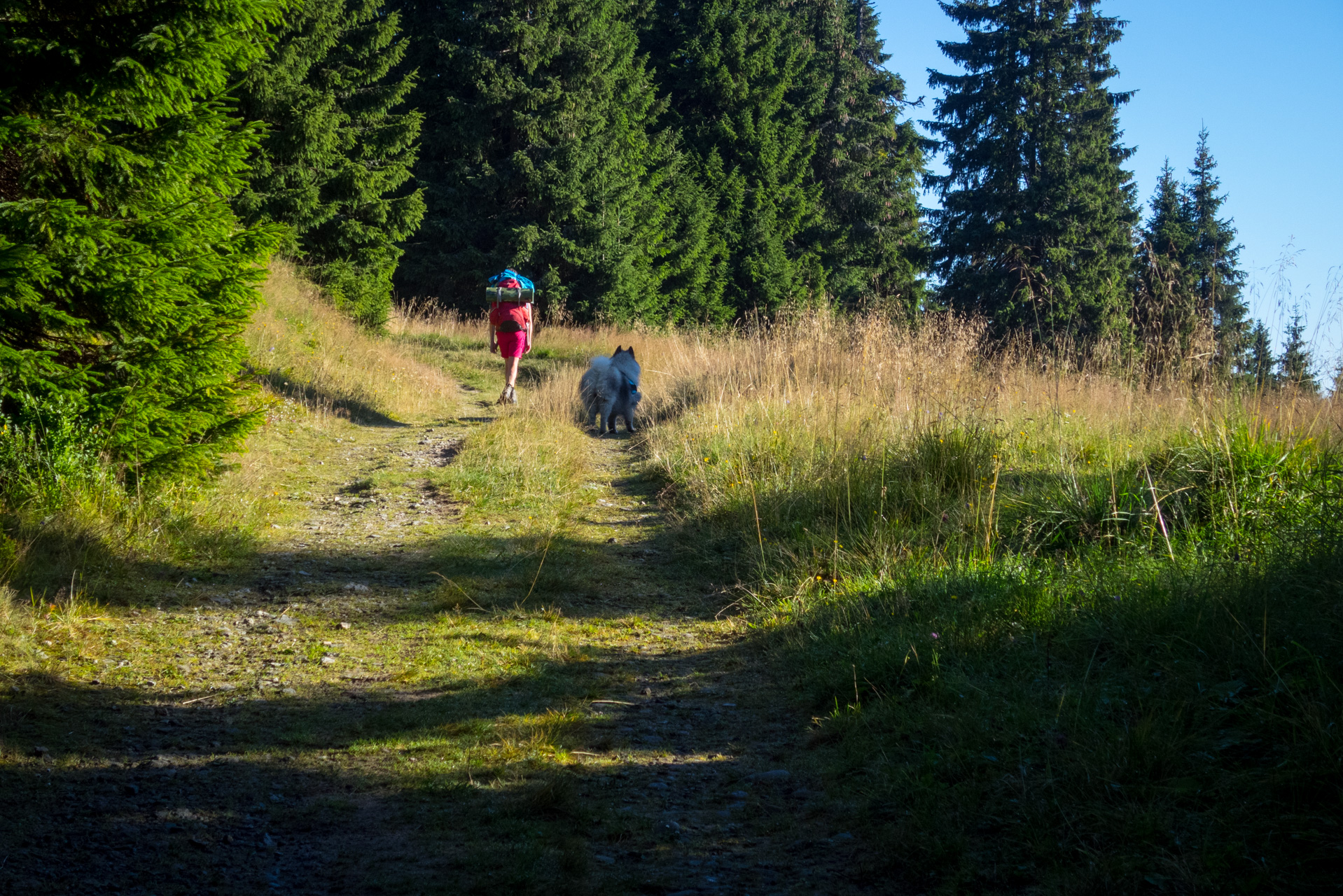 Z vojenskej zotavovne Smrekovica cez Nižné Šiprúnske sedlo do Bieleho potoka (Veľká Fatra)