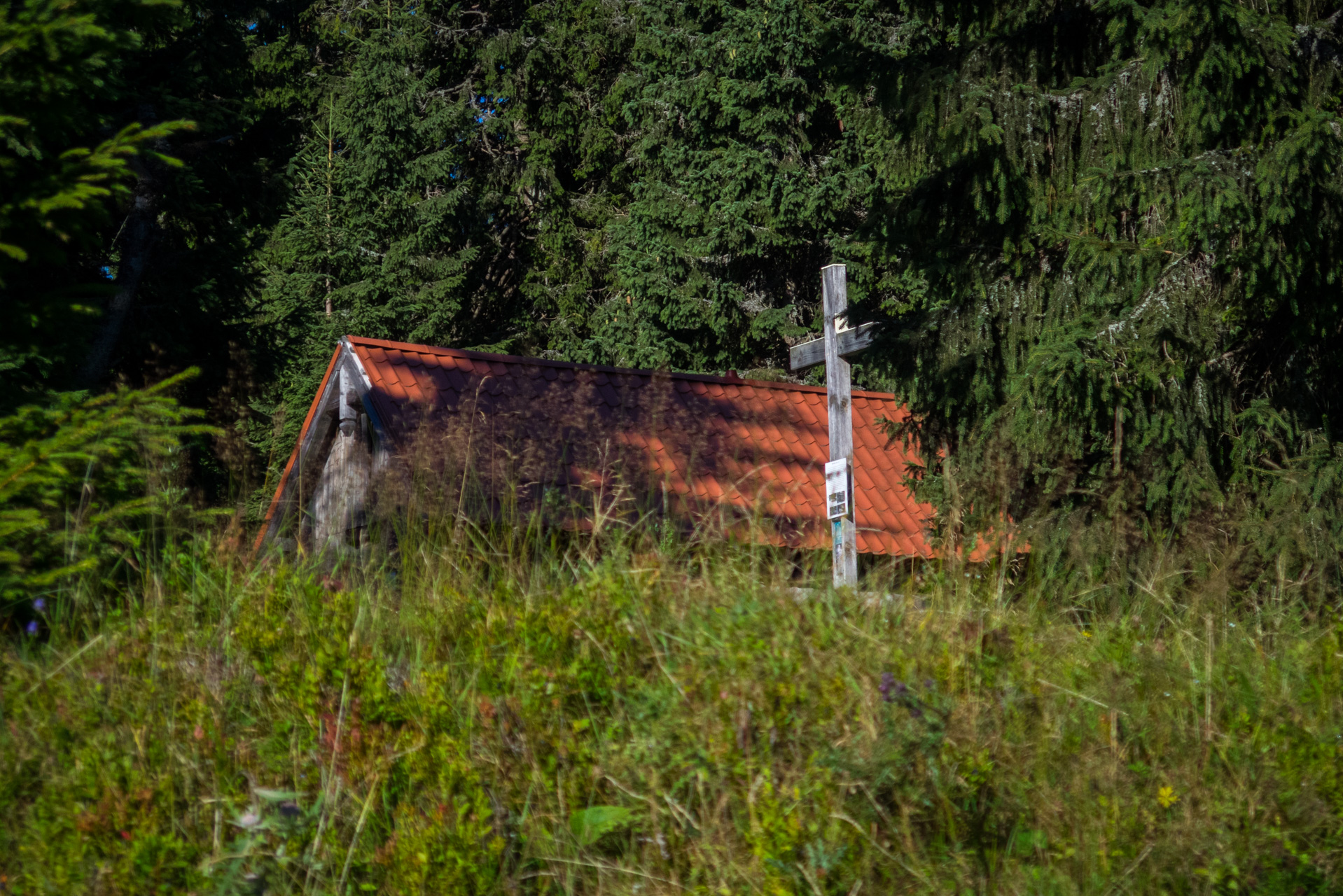 Z vojenskej zotavovne Smrekovica cez Nižné Šiprúnske sedlo do Bieleho potoka (Veľká Fatra)