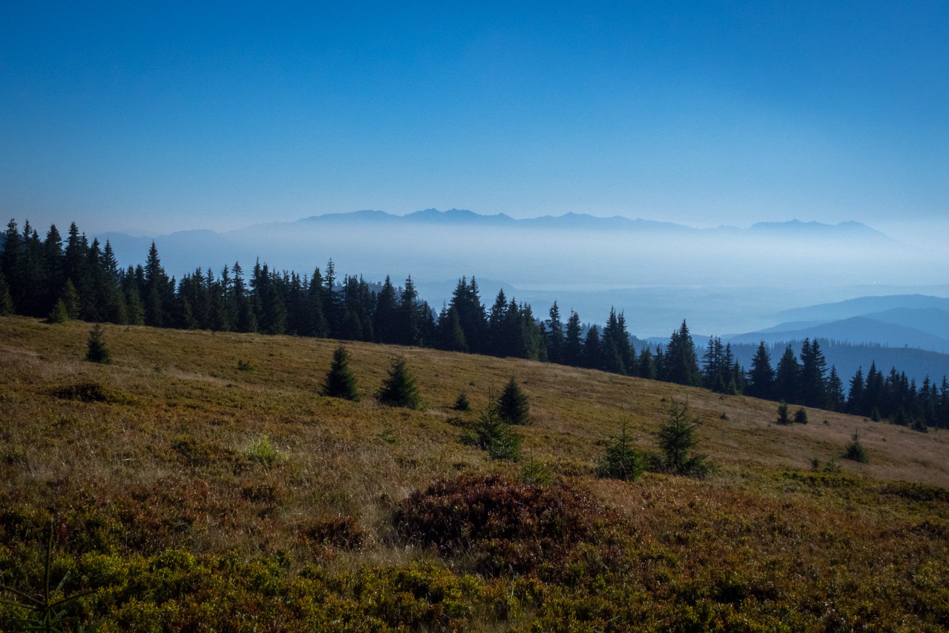 Z vojenskej zotavovne Smrekovica cez Nižné Šiprúnske sedlo do Bieleho potoka (Veľká Fatra)