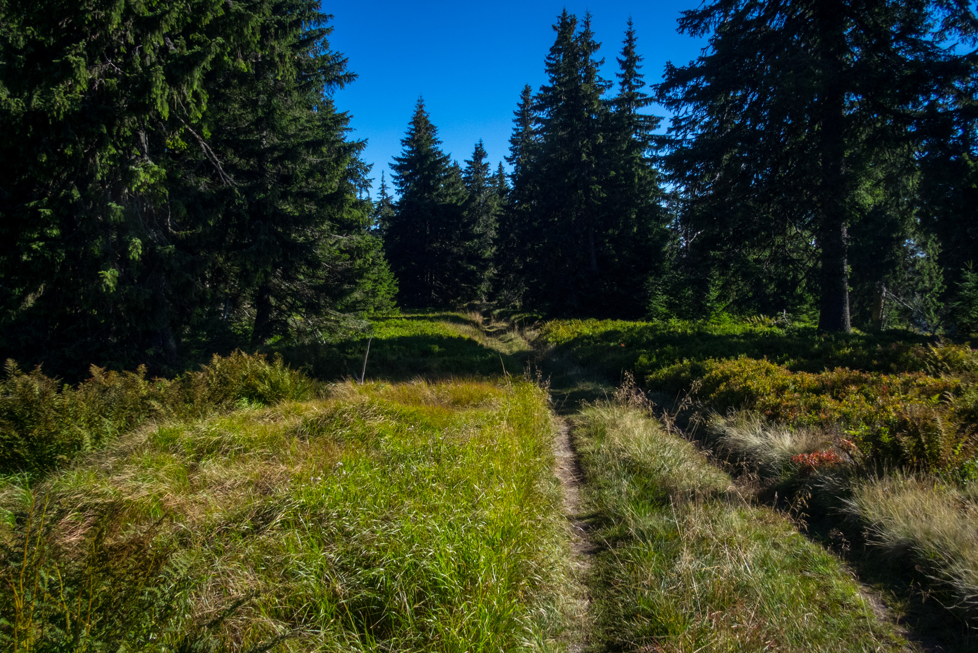 Z vojenskej zotavovne Smrekovica cez Nižné Šiprúnske sedlo do Bieleho potoka (Veľká Fatra)