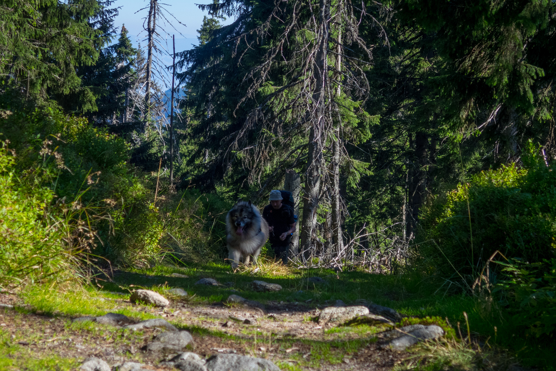 Z vojenskej zotavovne Smrekovica cez Nižné Šiprúnske sedlo do Bieleho potoka (Veľká Fatra)