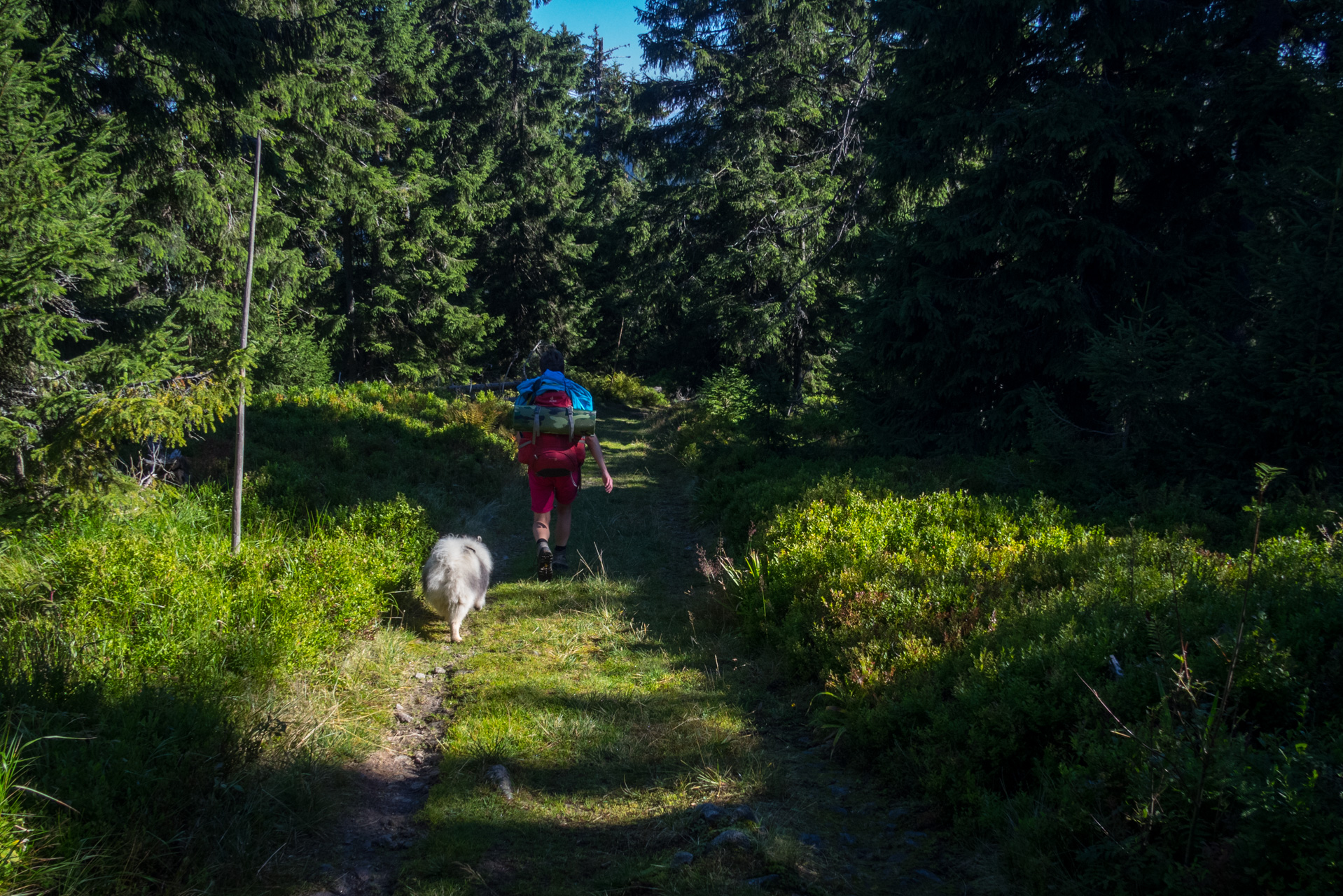 Z vojenskej zotavovne Smrekovica cez Nižné Šiprúnske sedlo do Bieleho potoka (Veľká Fatra)