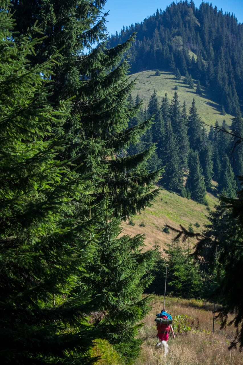 Z vojenskej zotavovne Smrekovica cez Nižné Šiprúnske sedlo do Bieleho potoka (Veľká Fatra)