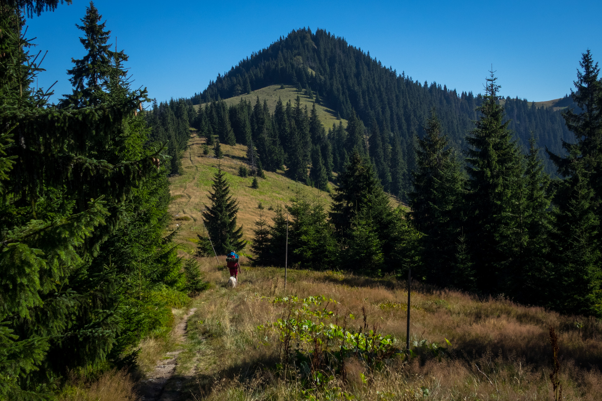 Z vojenskej zotavovne Smrekovica cez Nižné Šiprúnske sedlo do Bieleho potoka (Veľká Fatra)