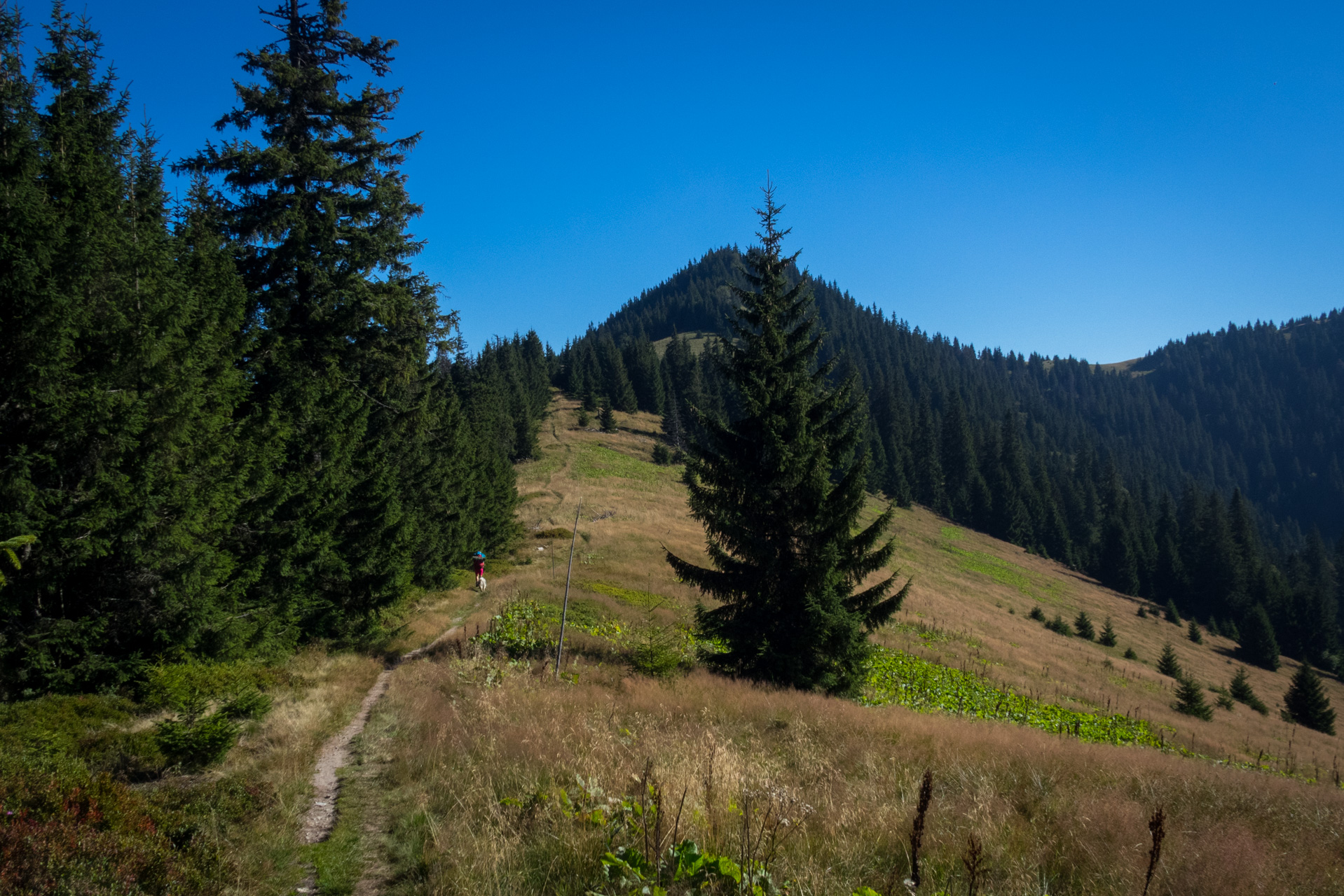 Z vojenskej zotavovne Smrekovica cez Nižné Šiprúnske sedlo do Bieleho potoka (Veľká Fatra)