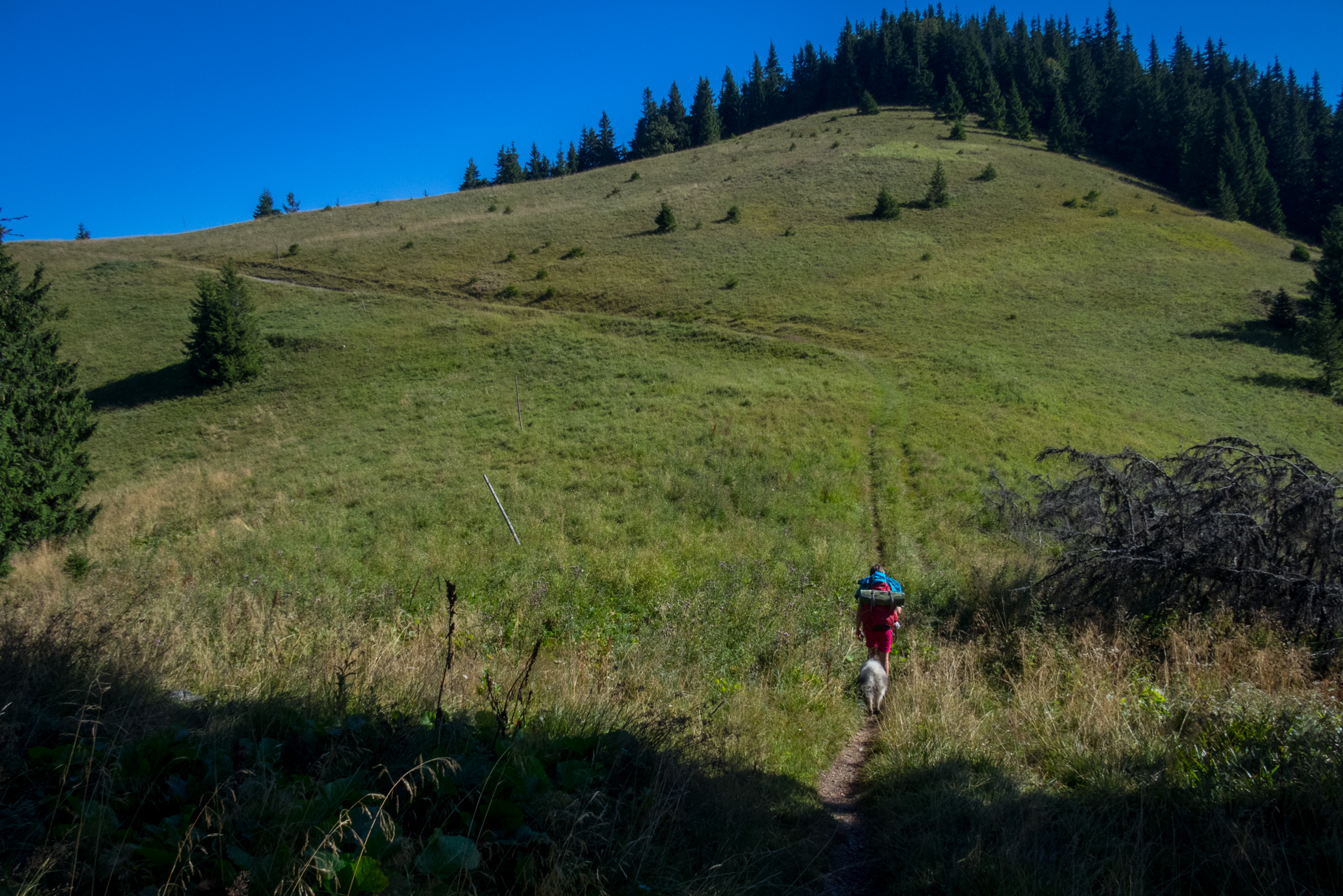 Z vojenskej zotavovne Smrekovica cez Nižné Šiprúnske sedlo do Bieleho potoka (Veľká Fatra)