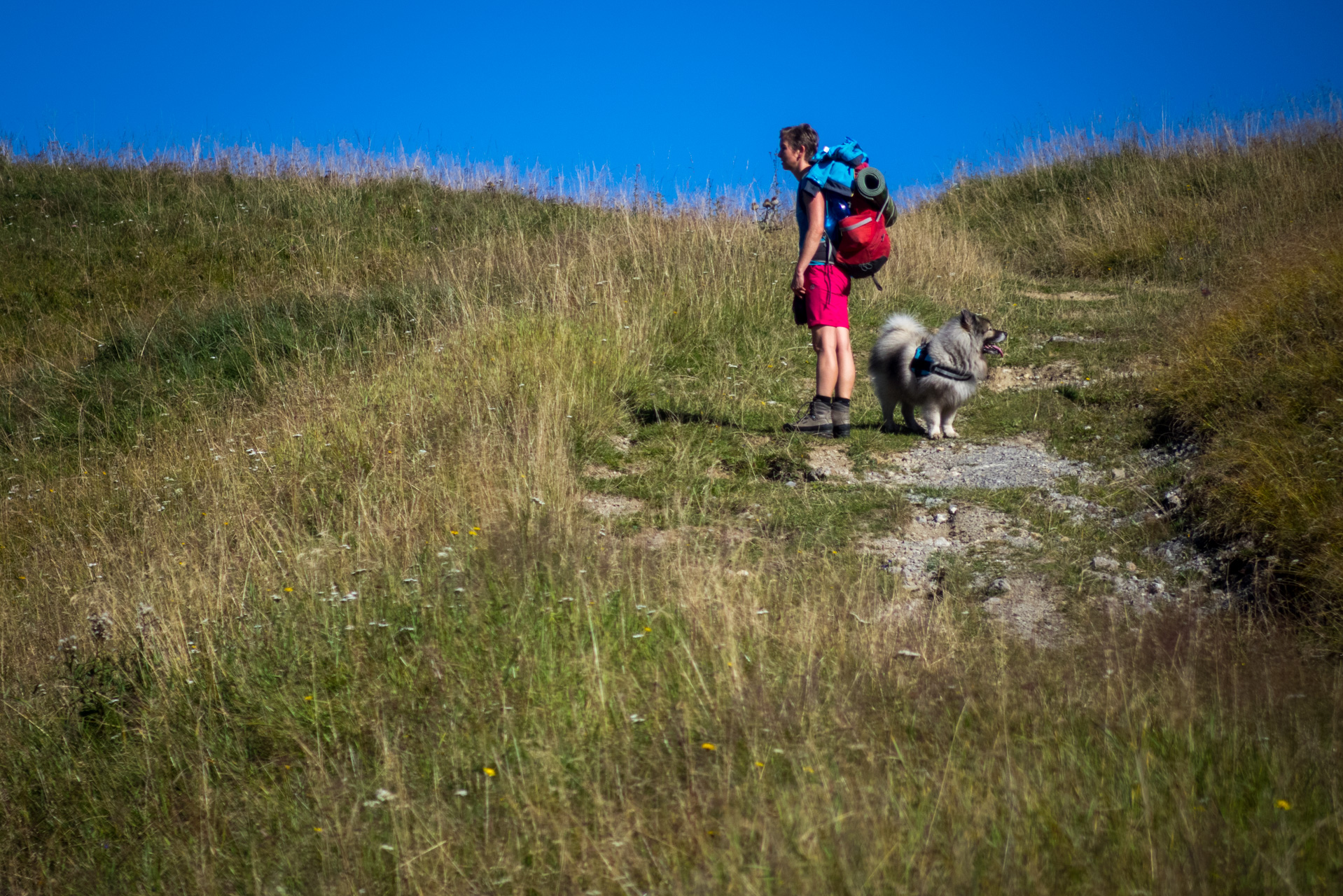 Z vojenskej zotavovne Smrekovica cez Nižné Šiprúnske sedlo do Bieleho potoka (Veľká Fatra)