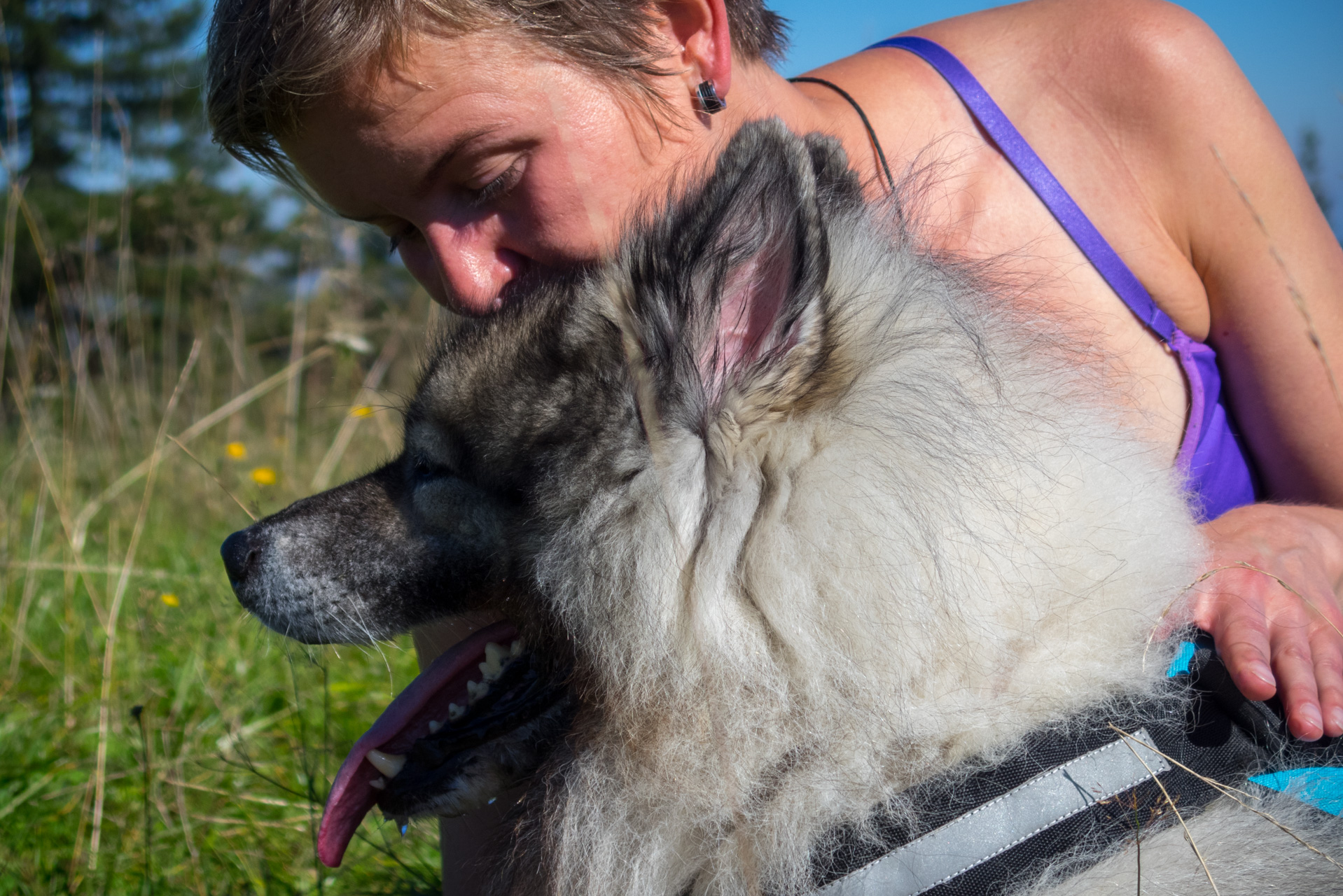 Z vojenskej zotavovne Smrekovica cez Nižné Šiprúnske sedlo do Bieleho potoka (Veľká Fatra)