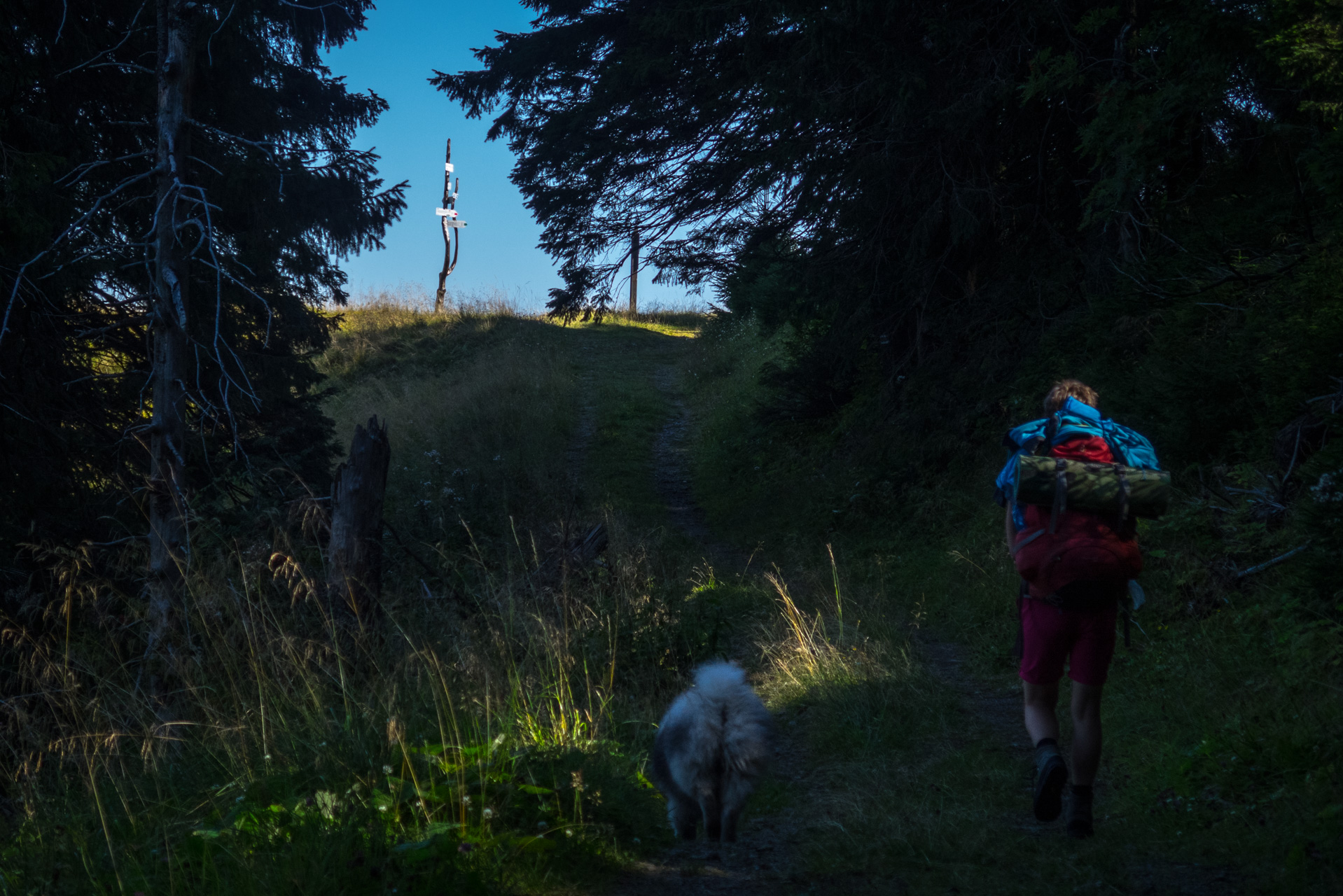 Z vojenskej zotavovne Smrekovica cez Nižné Šiprúnske sedlo do Bieleho potoka (Veľká Fatra)