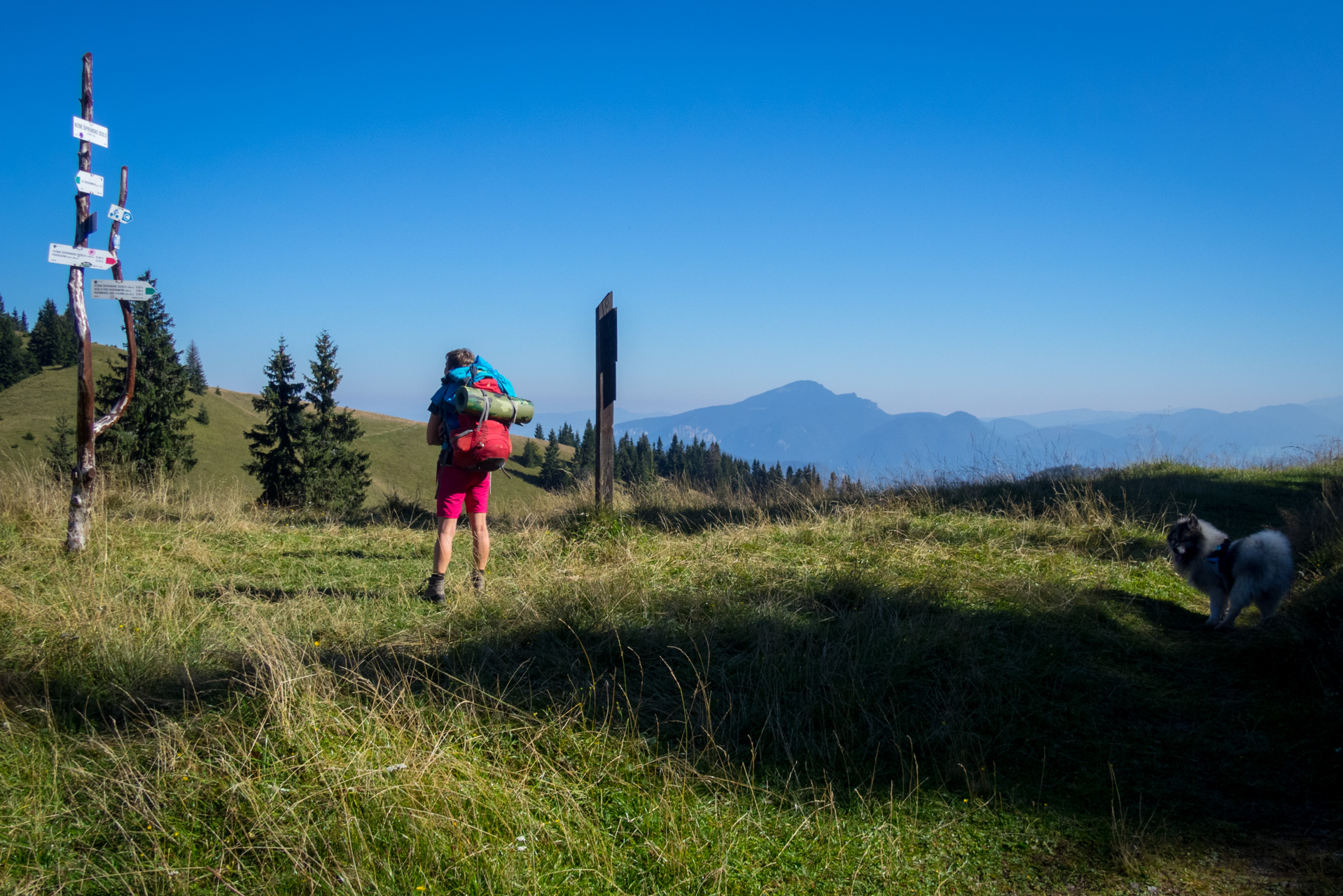 Z vojenskej zotavovne Smrekovica cez Nižné Šiprúnske sedlo do Bieleho potoka (Veľká Fatra)