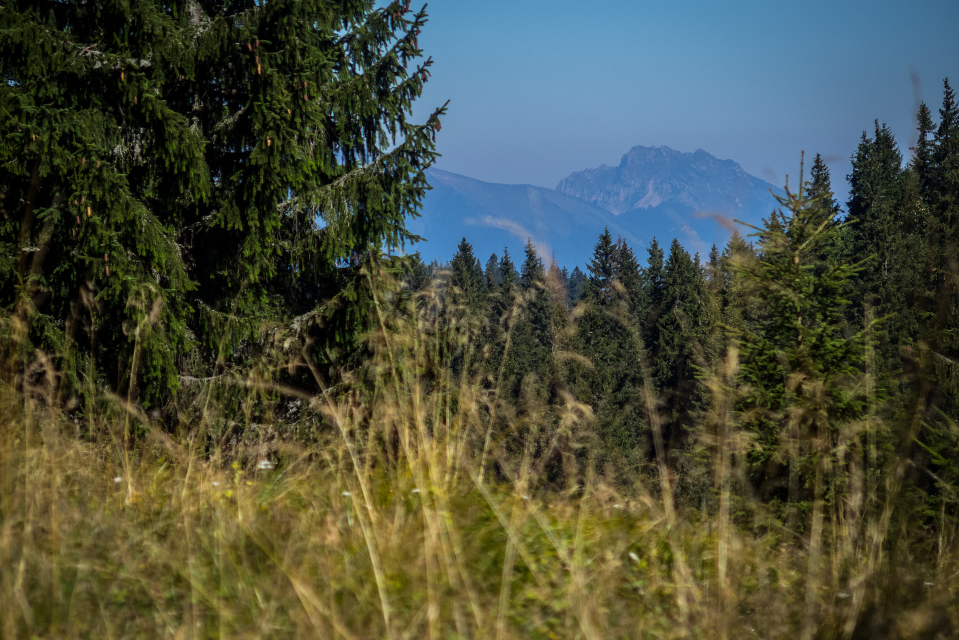 Z vojenskej zotavovne Smrekovica cez Nižné Šiprúnske sedlo do Bieleho potoka (Veľká Fatra)