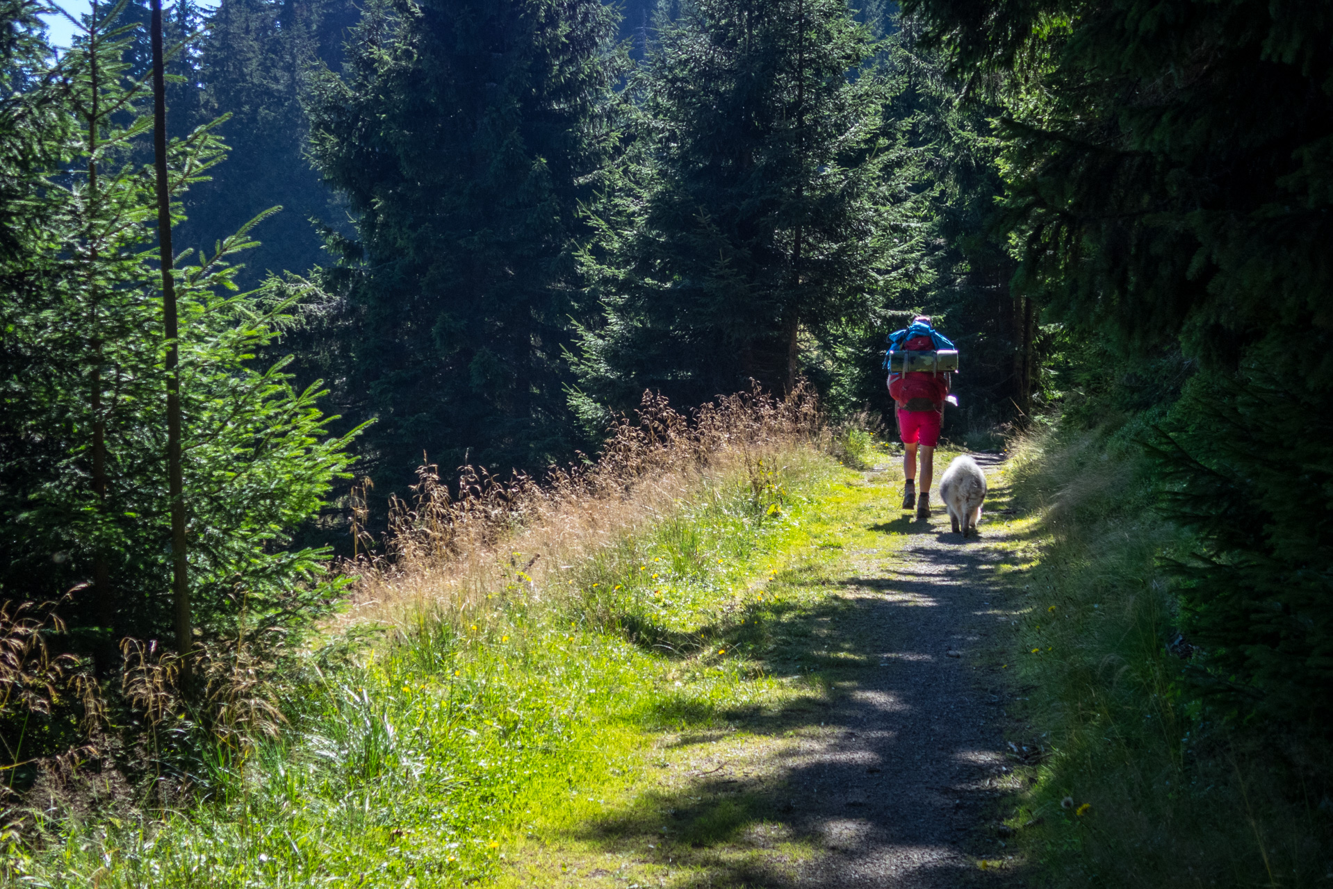 Z vojenskej zotavovne Smrekovica cez Nižné Šiprúnske sedlo do Bieleho potoka (Veľká Fatra)