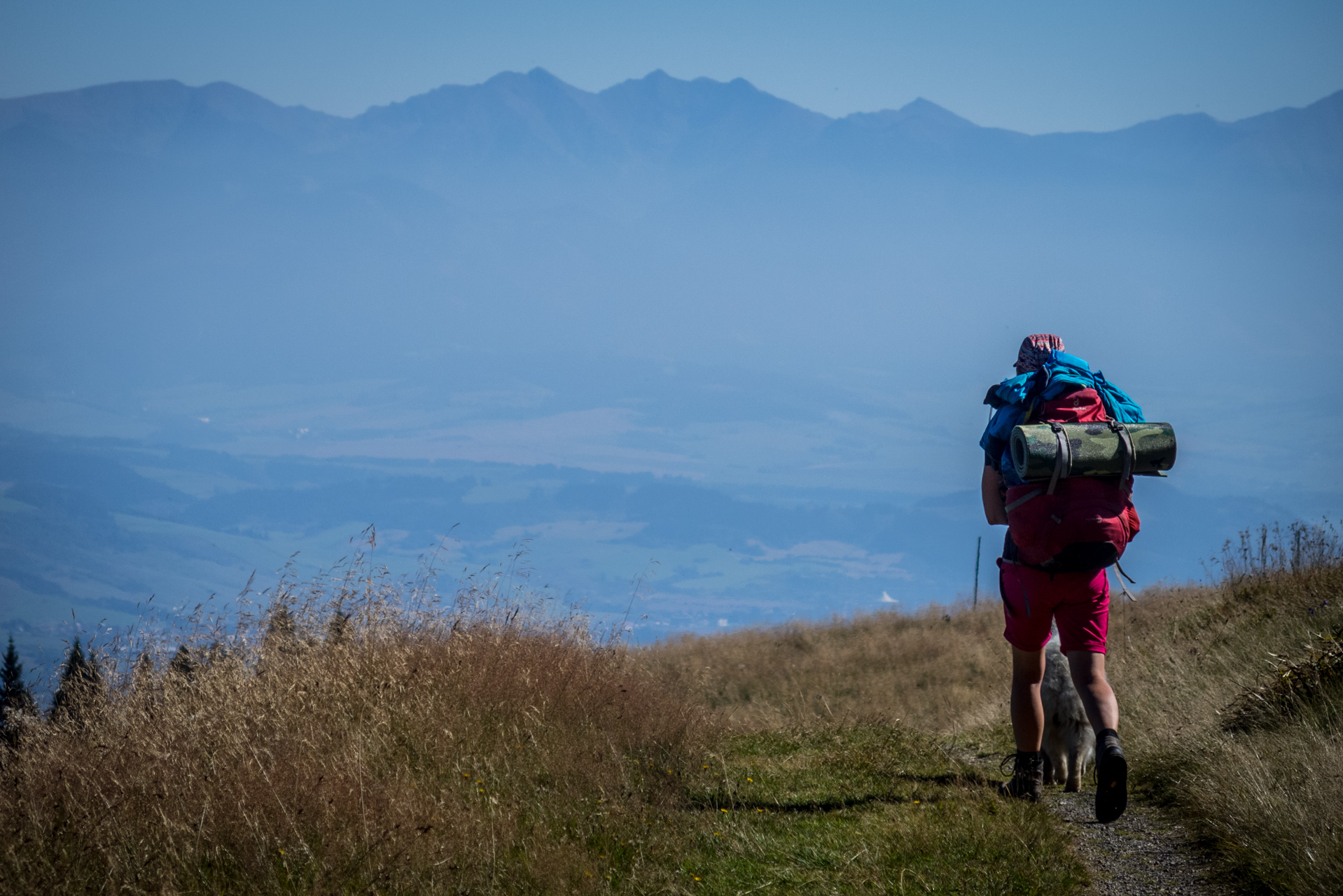 za Vyšným Šiprúnskym sedlom, v pozadí Západné Tatry