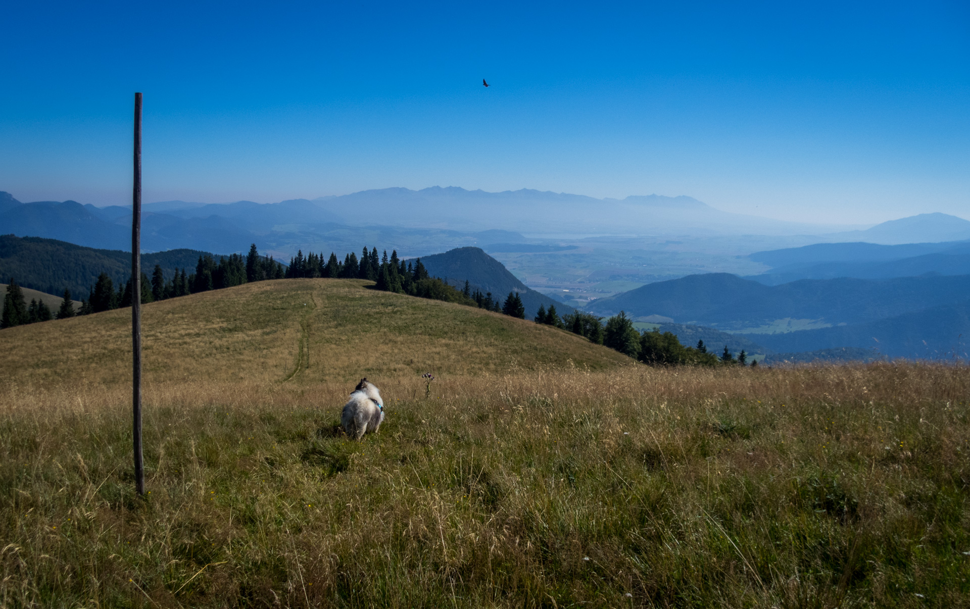 Z vojenskej zotavovne Smrekovica cez Nižné Šiprúnske sedlo do Bieleho potoka (Veľká Fatra)