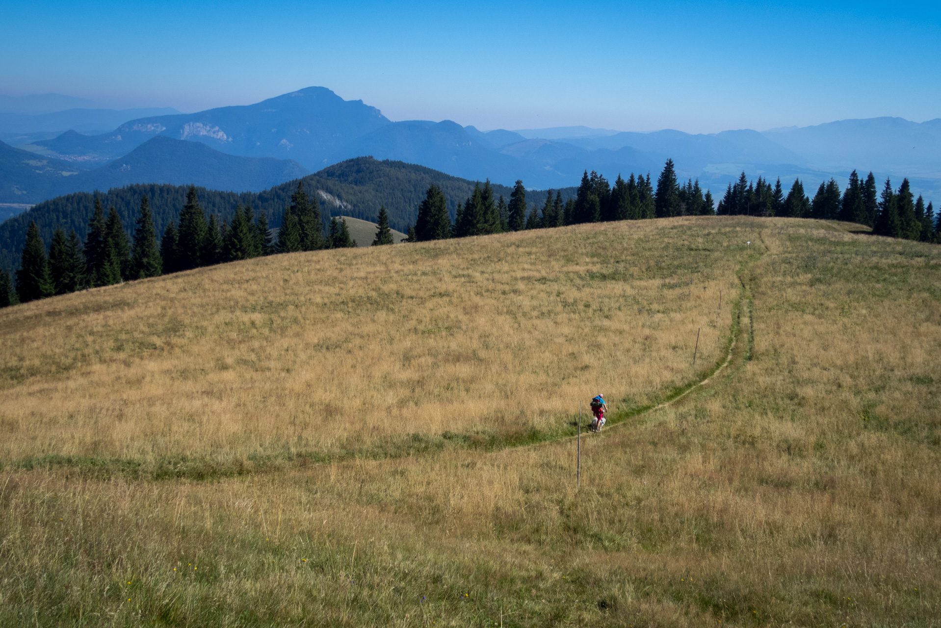 Z vojenskej zotavovne Smrekovica cez Nižné Šiprúnske sedlo do Bieleho potoka (Veľká Fatra)