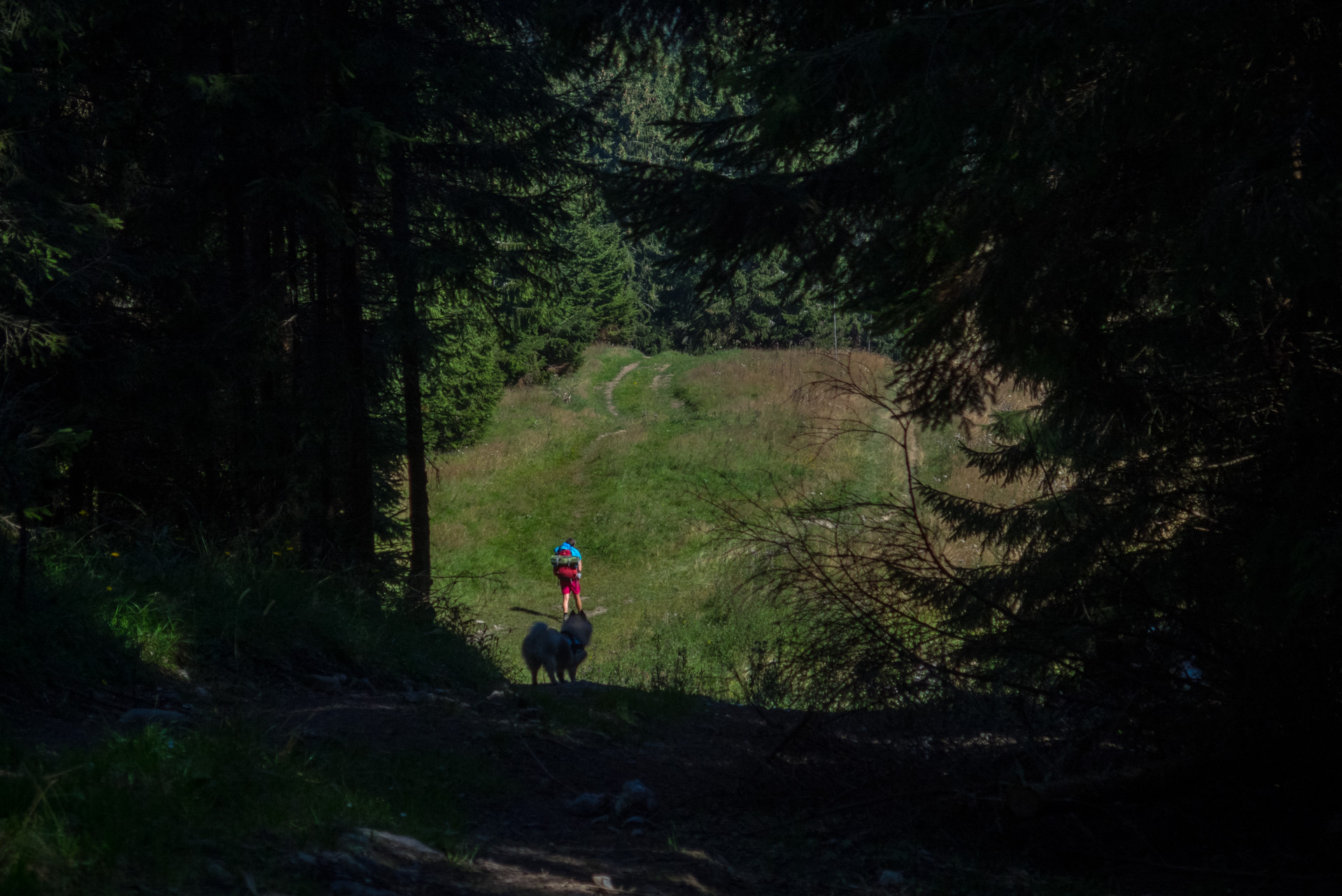 Z vojenskej zotavovne Smrekovica cez Nižné Šiprúnske sedlo do Bieleho potoka (Veľká Fatra)