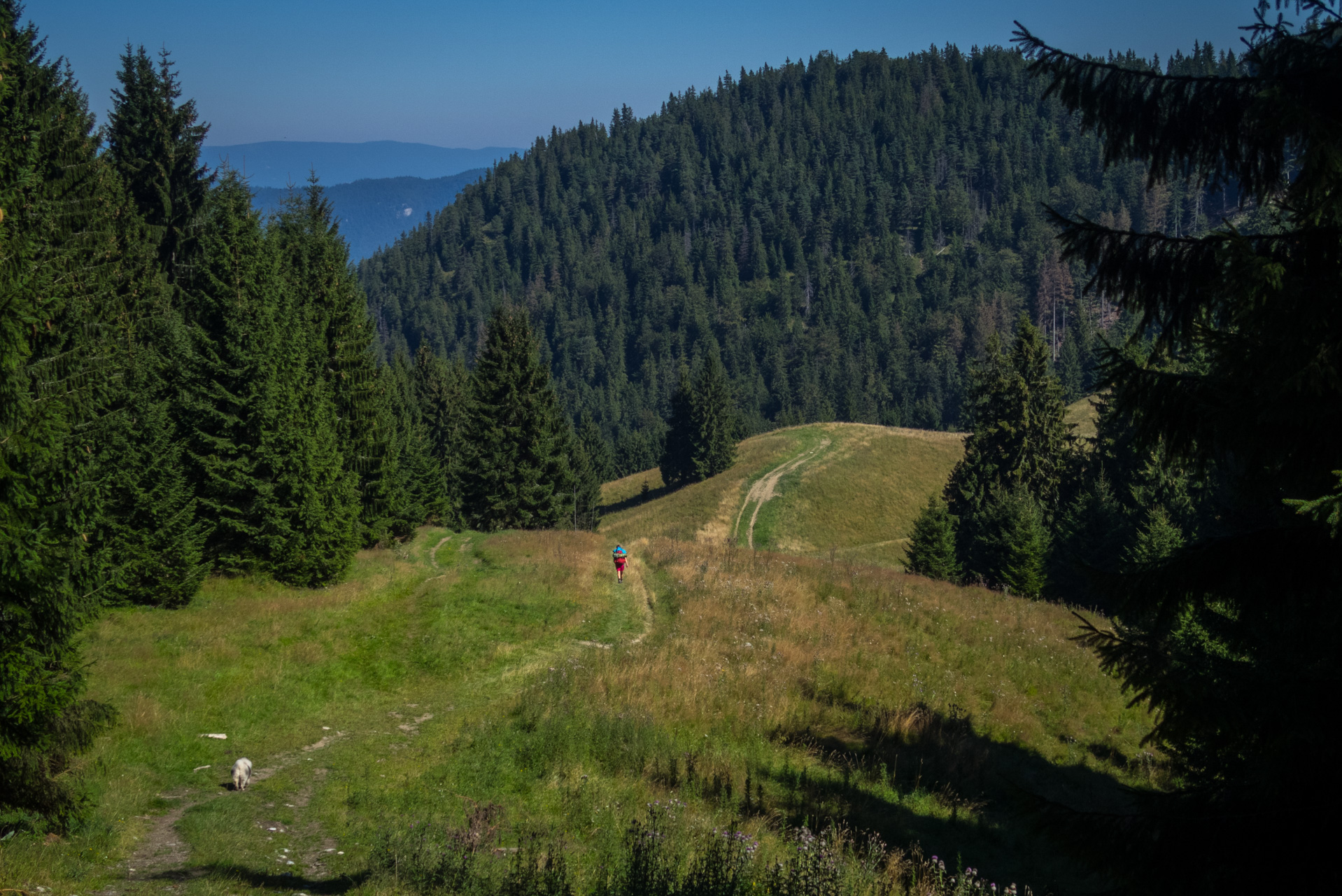 Z vojenskej zotavovne Smrekovica cez Nižné Šiprúnske sedlo do Bieleho potoka (Veľká Fatra)