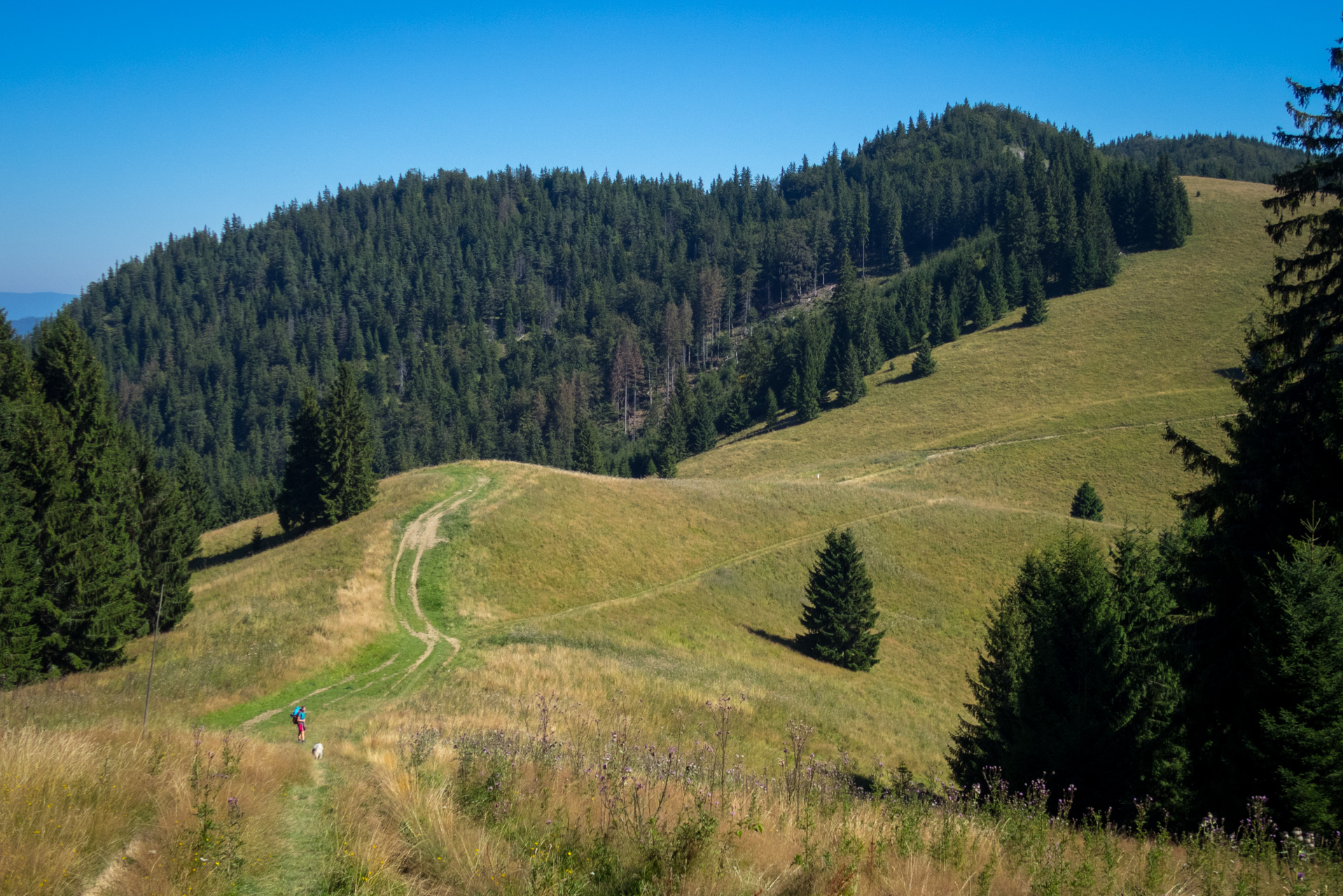 Z vojenskej zotavovne Smrekovica cez Nižné Šiprúnske sedlo do Bieleho potoka (Veľká Fatra)