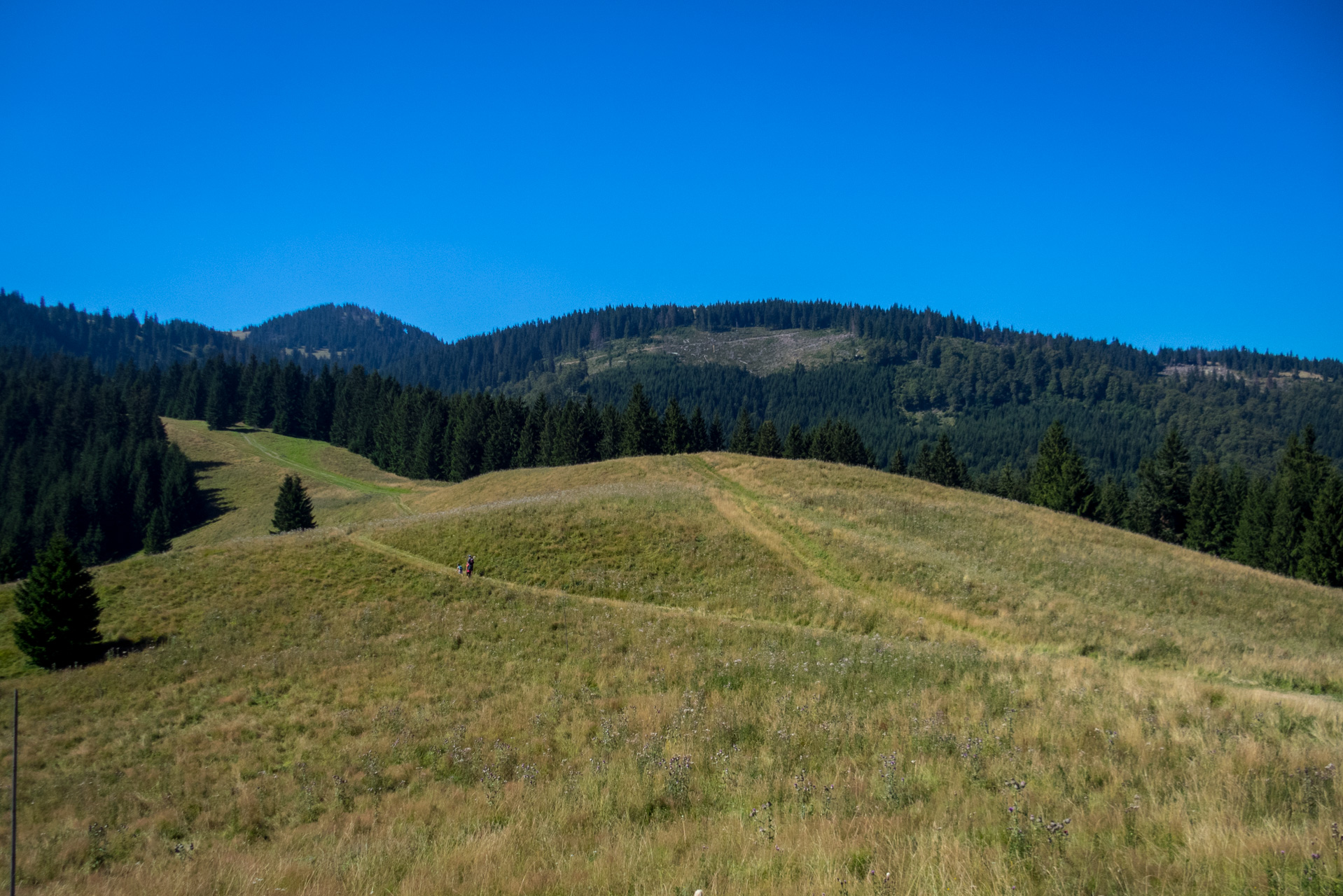 Z vojenskej zotavovne Smrekovica cez Nižné Šiprúnske sedlo do Bieleho potoka (Veľká Fatra)