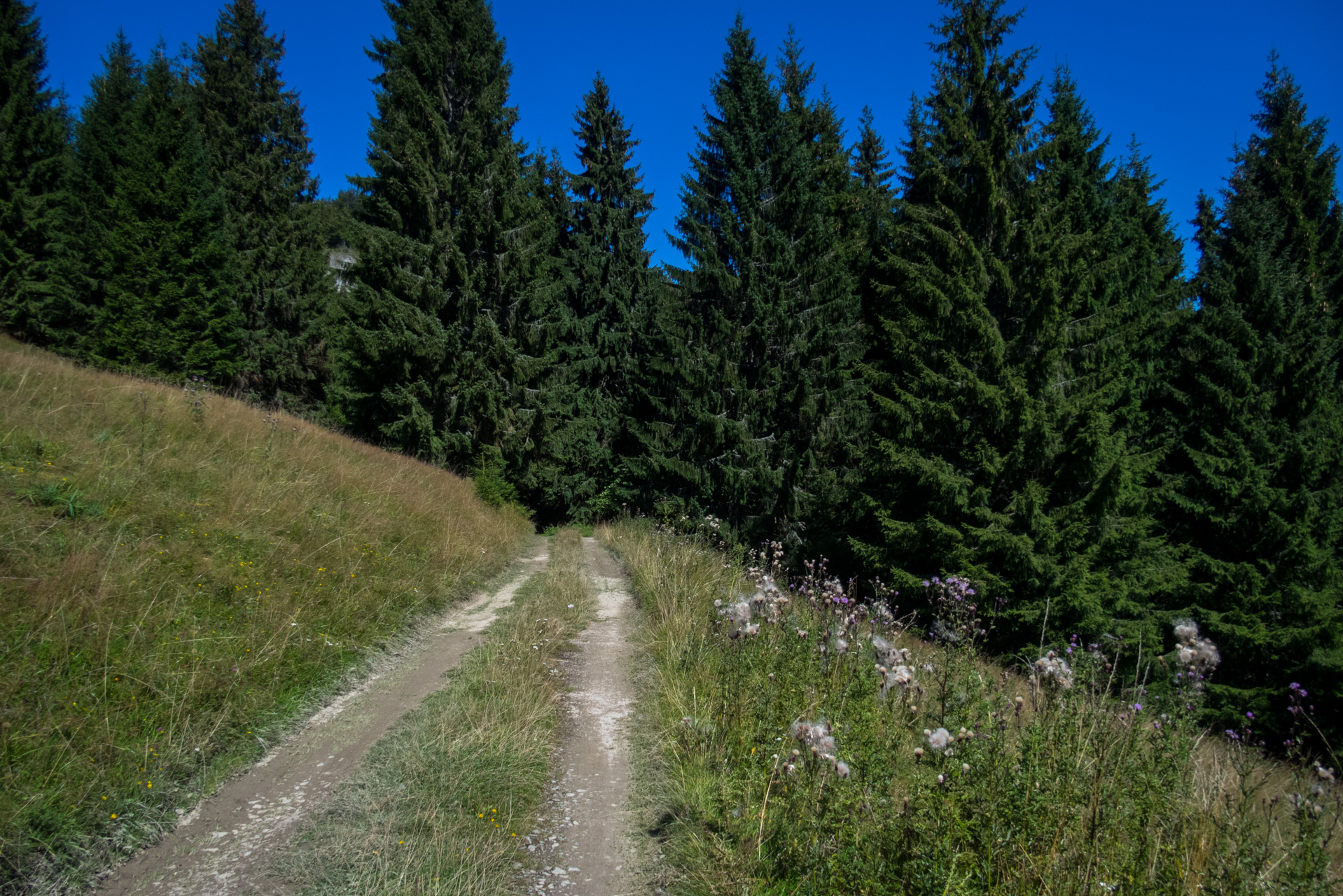 Z vojenskej zotavovne Smrekovica cez Nižné Šiprúnske sedlo do Bieleho potoka (Veľká Fatra)