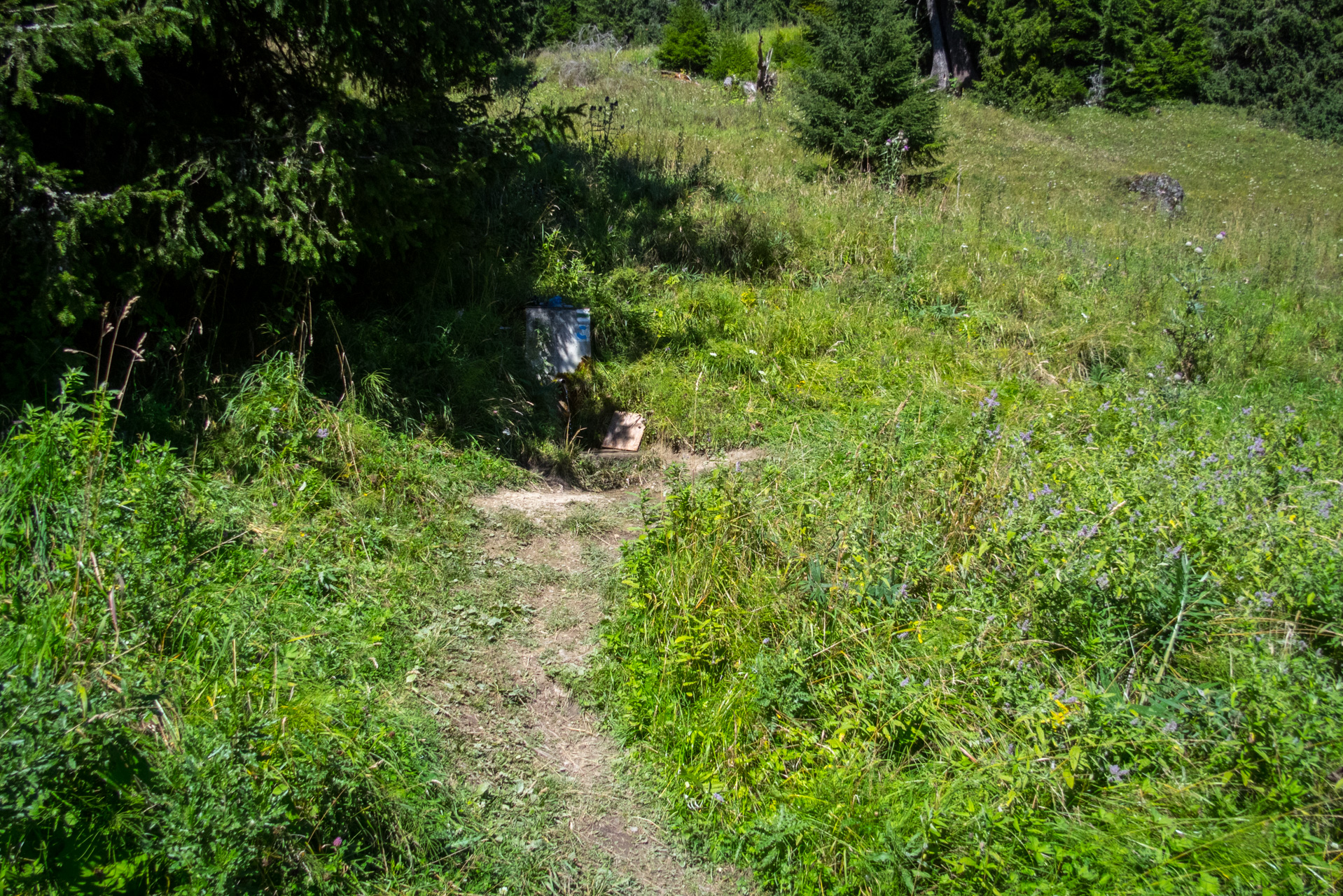 Z vojenskej zotavovne Smrekovica cez Nižné Šiprúnske sedlo do Bieleho potoka (Veľká Fatra)